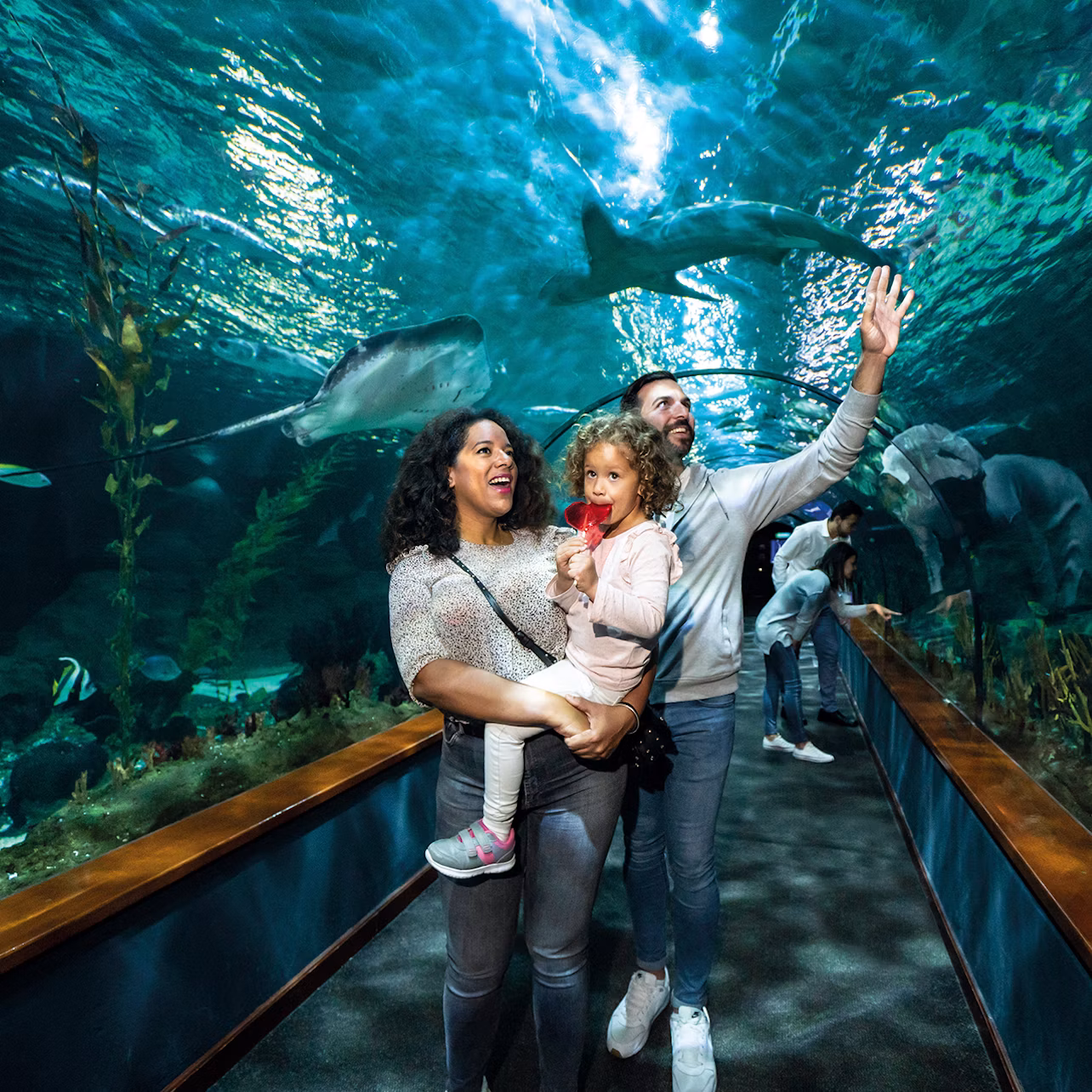 A family of three enjoys an aquarium tunnel, with sharks swimming overhead and vibrant marine life surrounding them.
