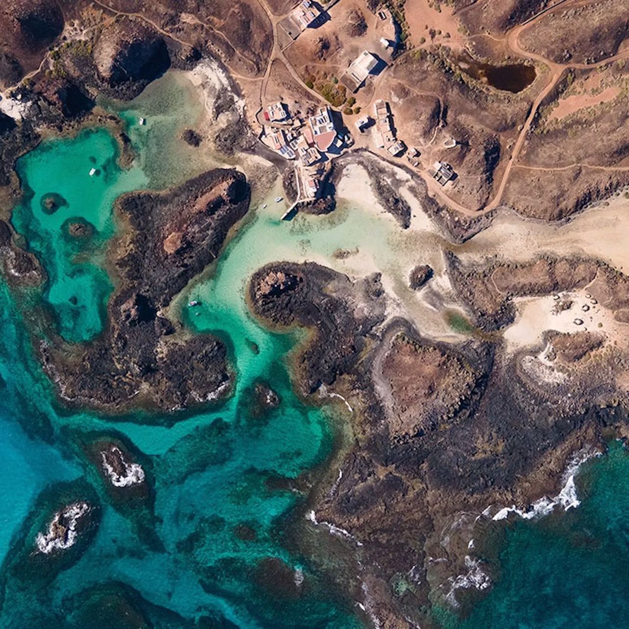 Isla de Lobos