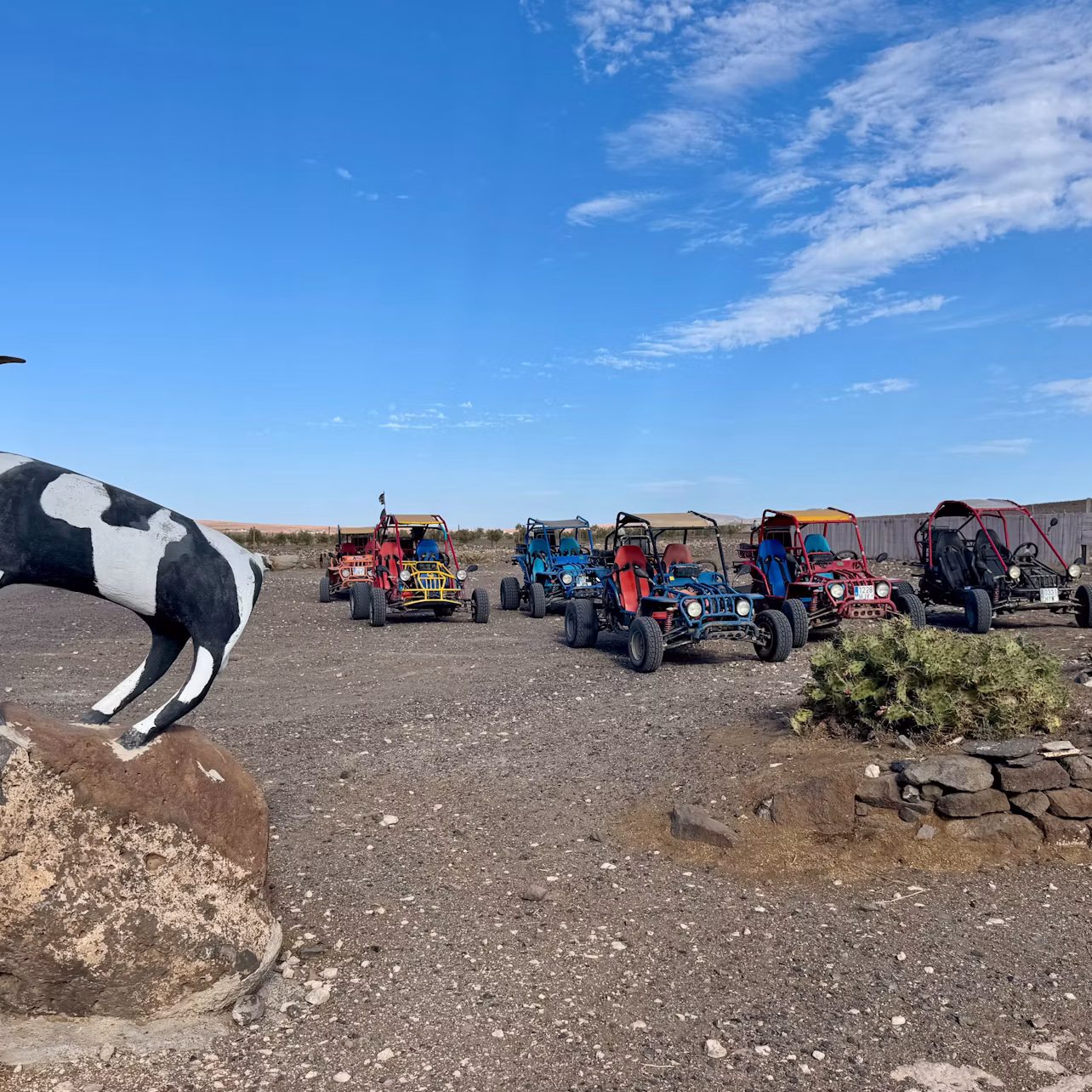 Buggy tour