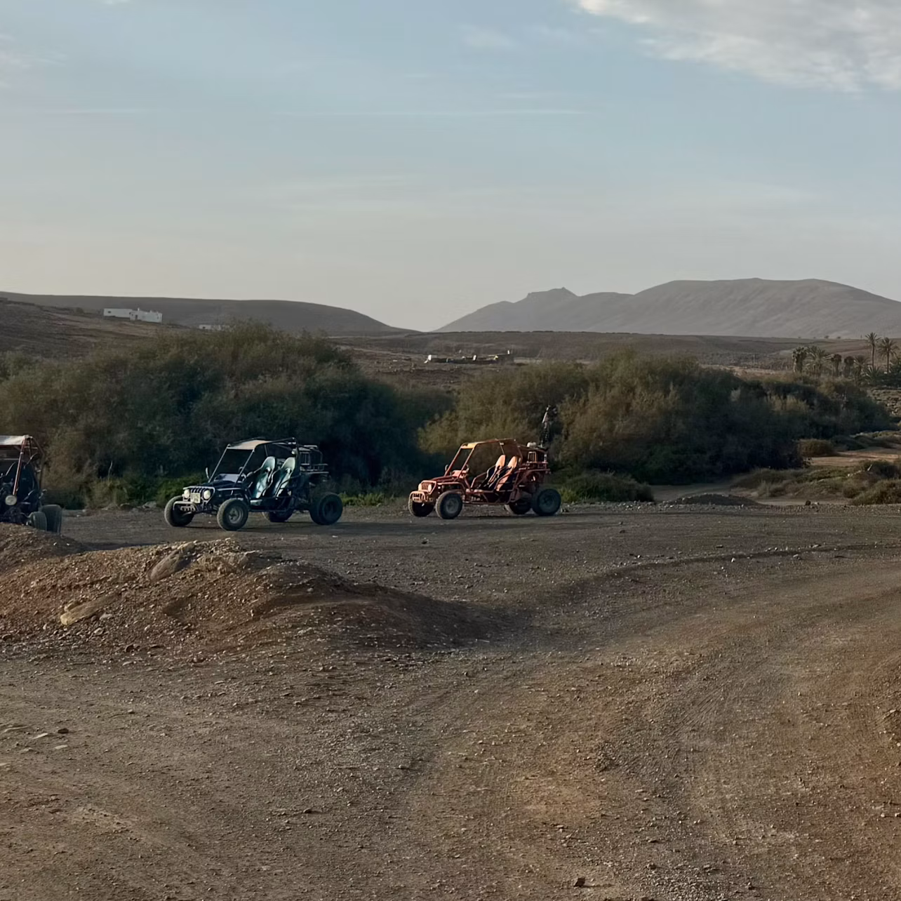 Buggy tour