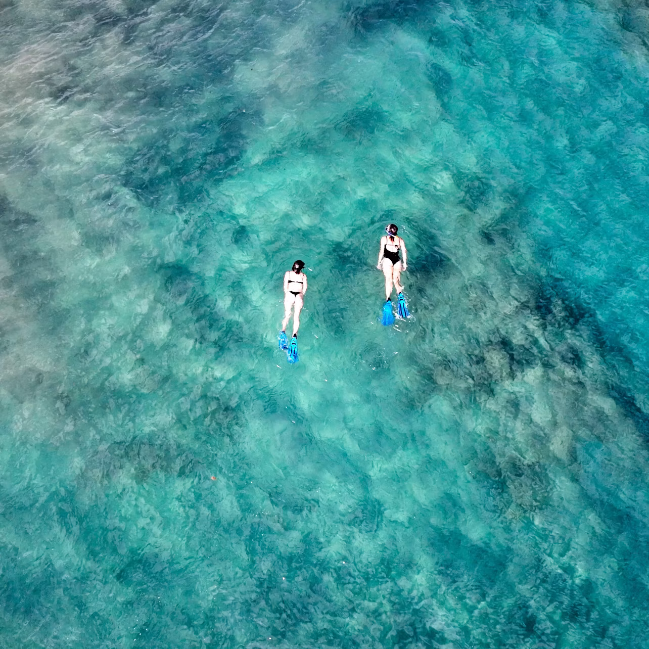 Two individuals snorkeling in clear turquoise water, wearing fins and swimwear. The seabed is slightly visible beneath them.