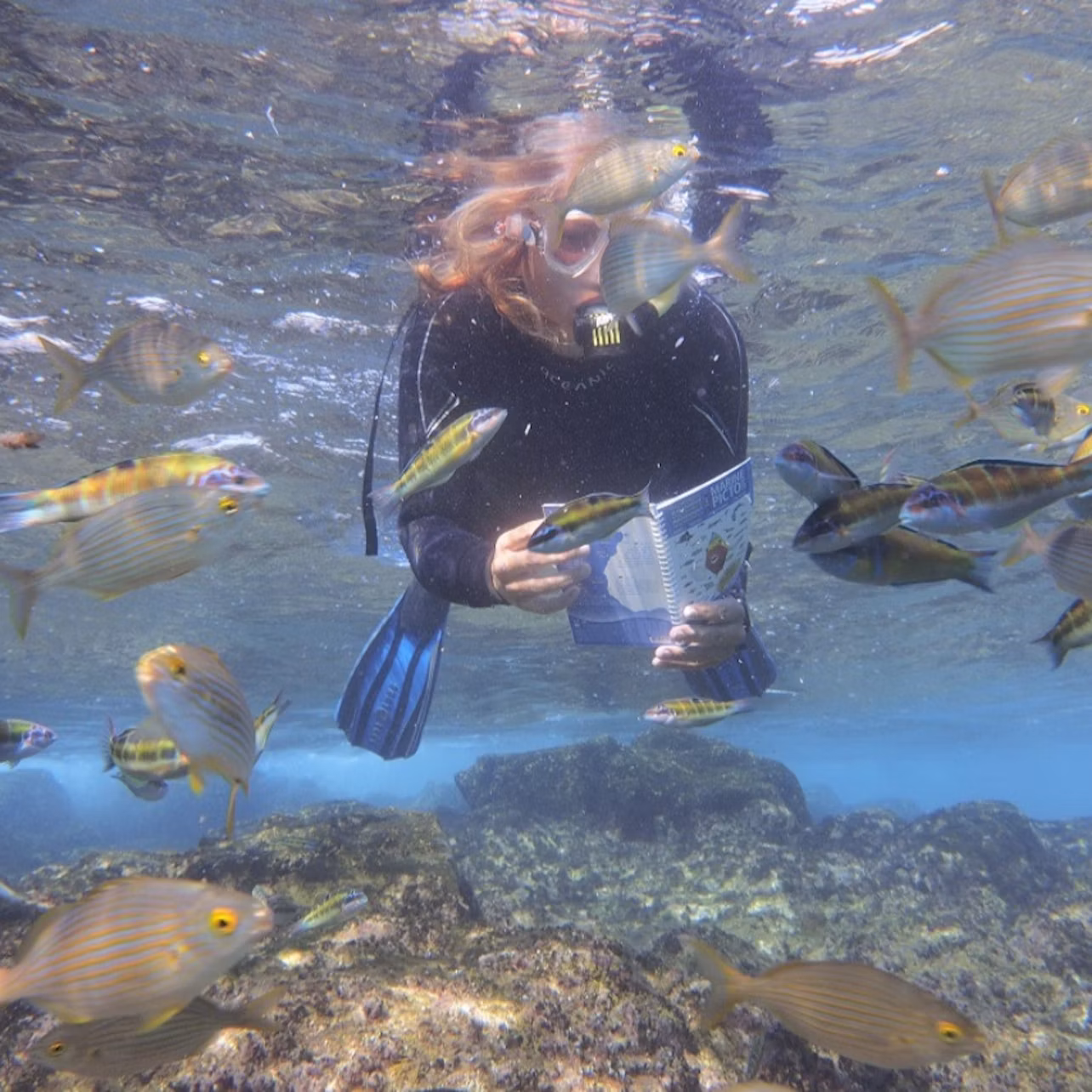 Person reading a book underwater, surrounded by colorful fish, wearing a wetsuit and snorkel near rocky seabed.