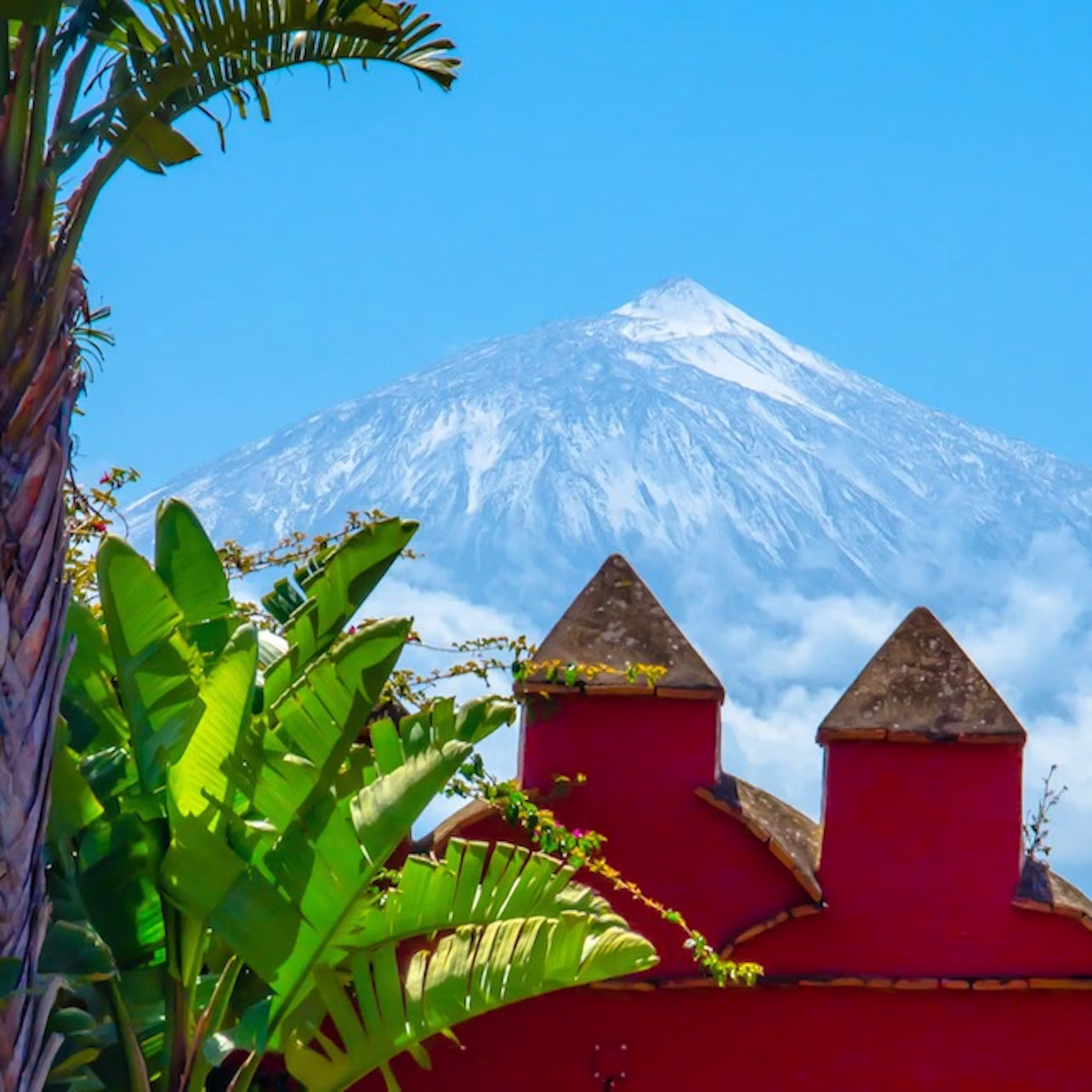 Snow-capped mountain behind a red building with pointed roofs, framed by green tropical foliage under a clear blue sky.