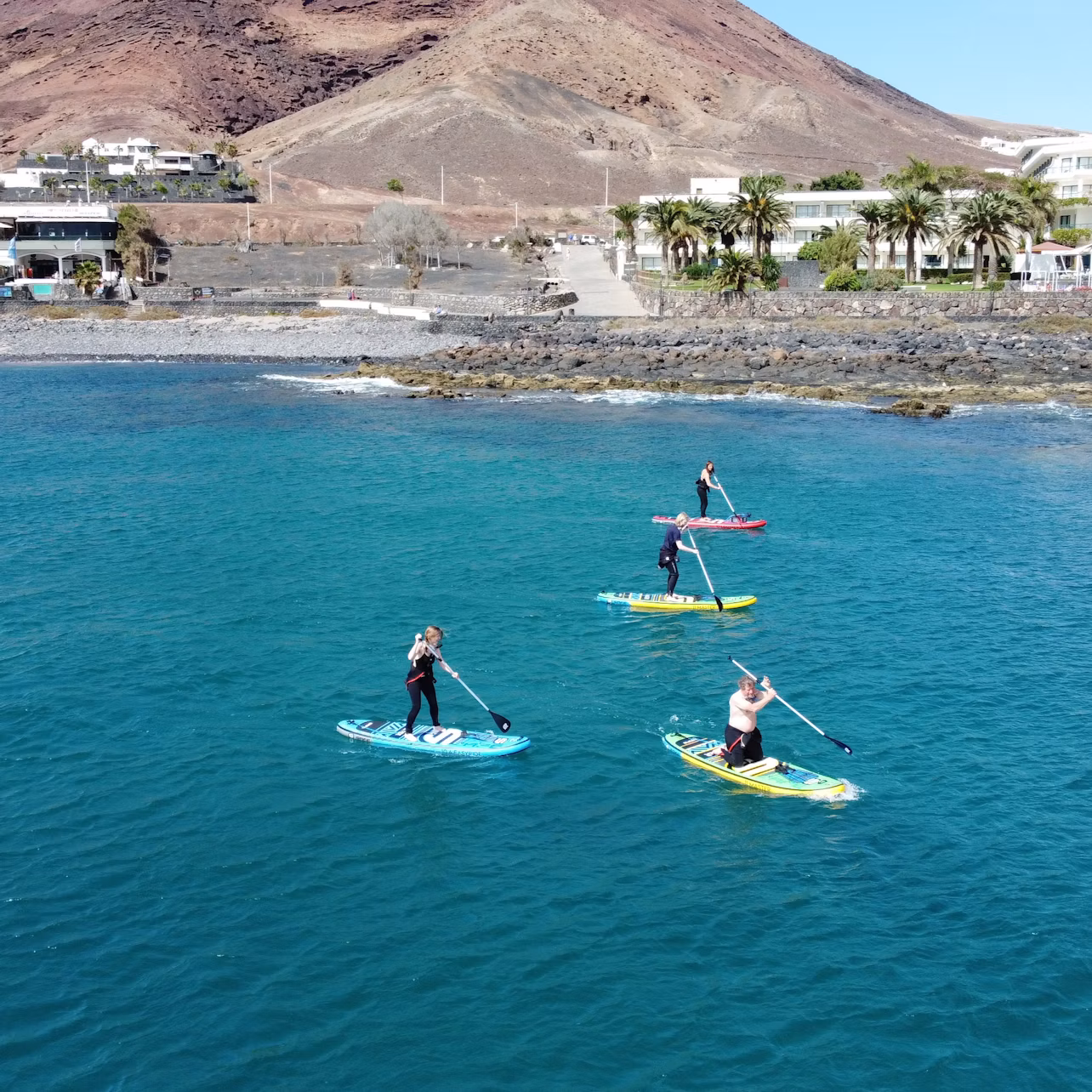 Four people stand paddleboarding on calm blue water near a rocky shore with buildings and palm trees in the background.