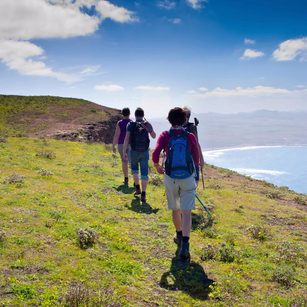 Three hikers with backpacks and trekking poles walking on a grassy hill near the ocean under a clear, blue sky.