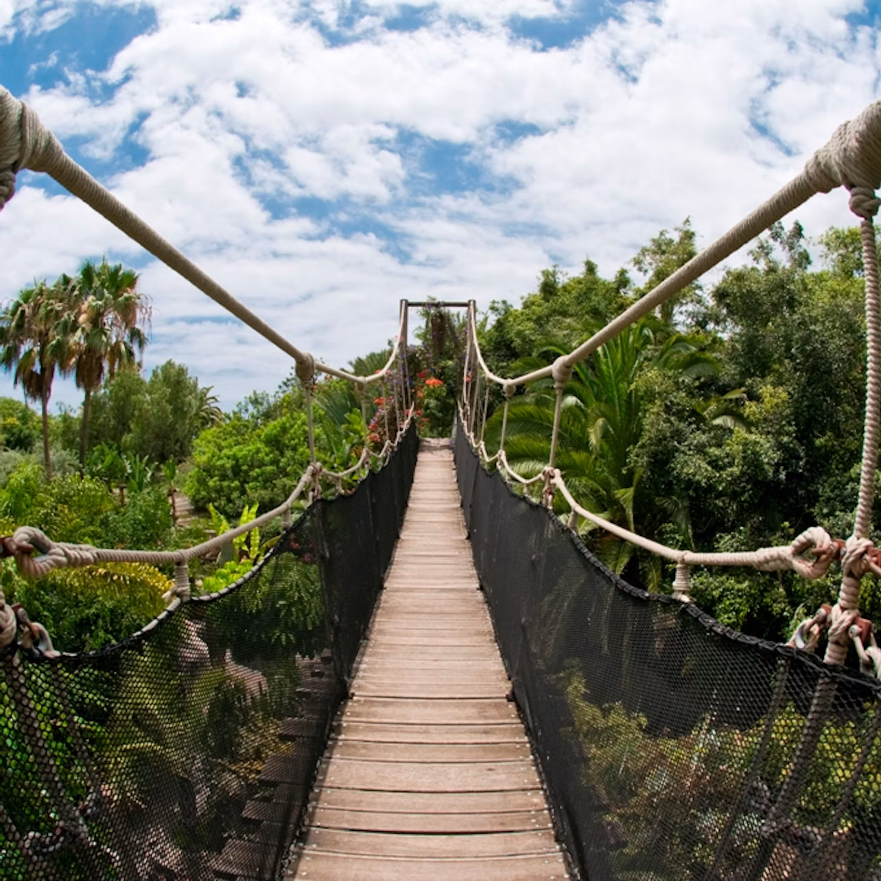 A suspension bridge with wooden planks and rope railings spans over a lush, green tropical landscape under a partly cloudy sky.