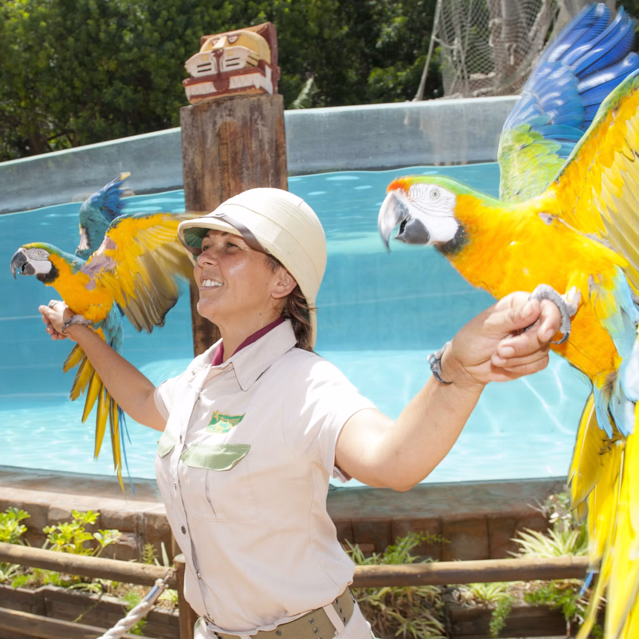 A person in safari attire, smiling and holding two colorful parrots on each arm, with a blue pool and greenery in the background.