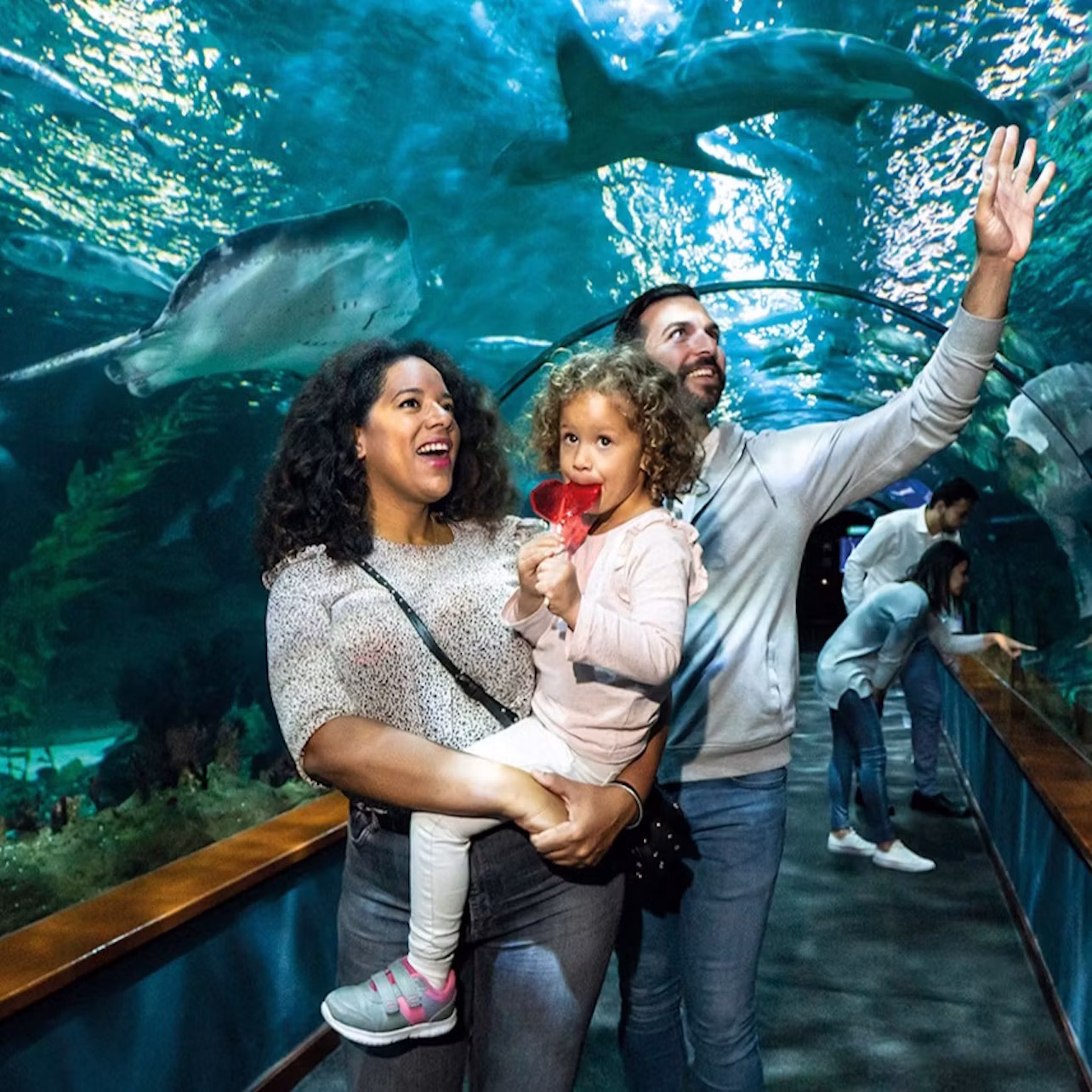 Aquarium