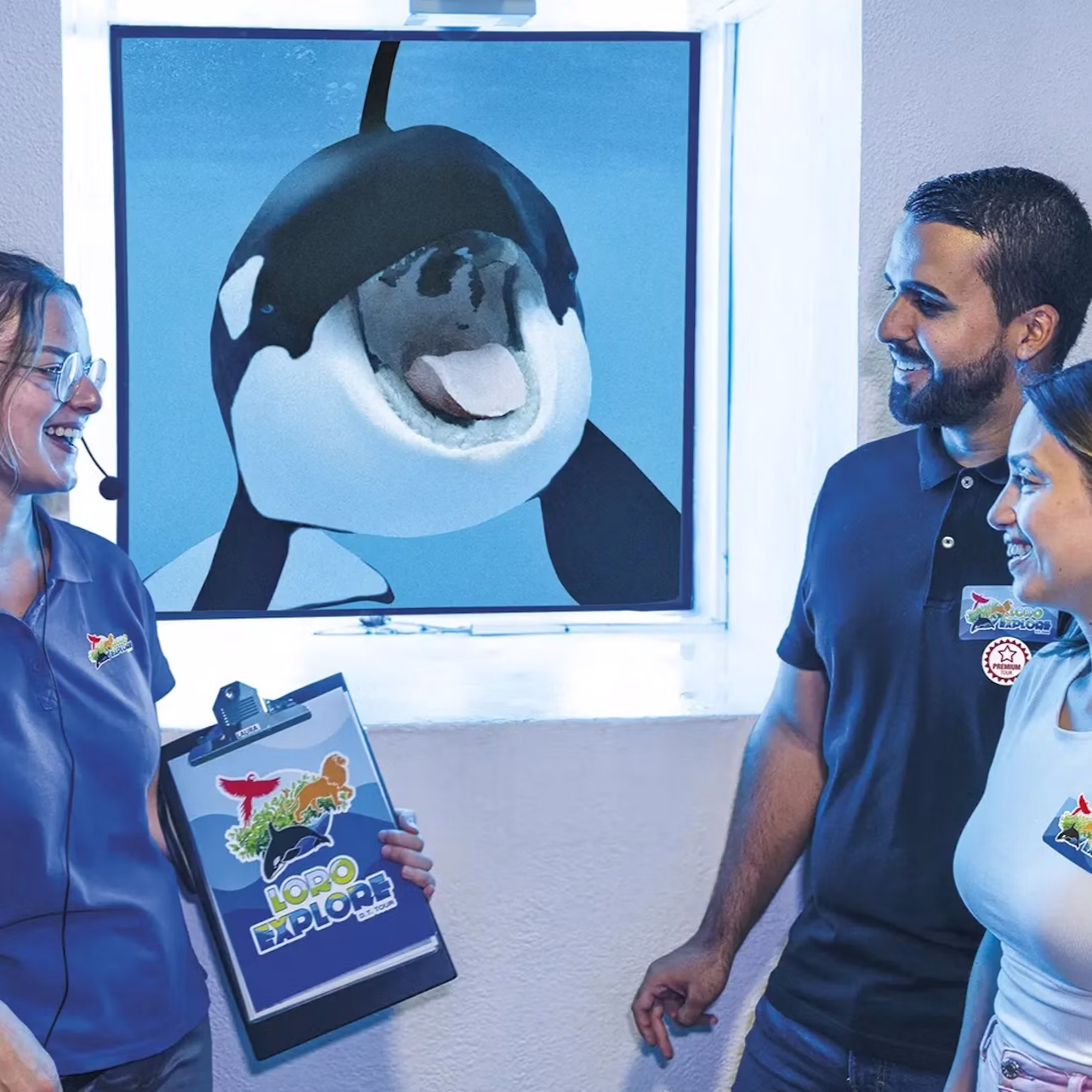 They Explore Orcas