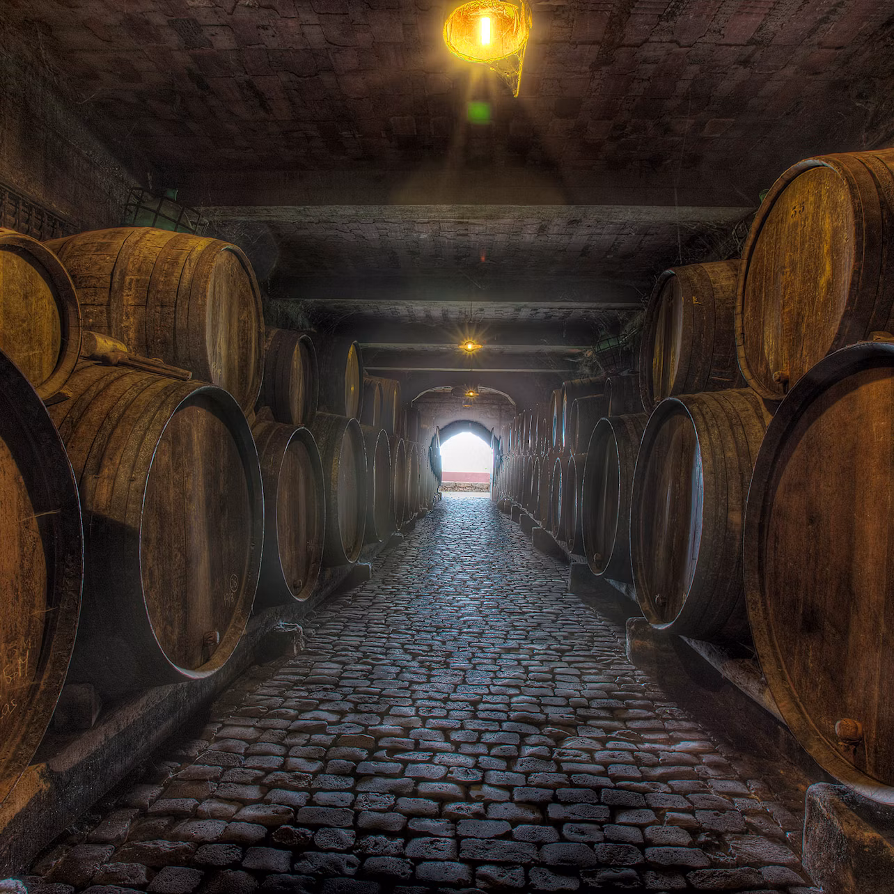 A dimly lit cellar with large wooden barrels lining both sides and a cobblestone path leading to a bright exit.