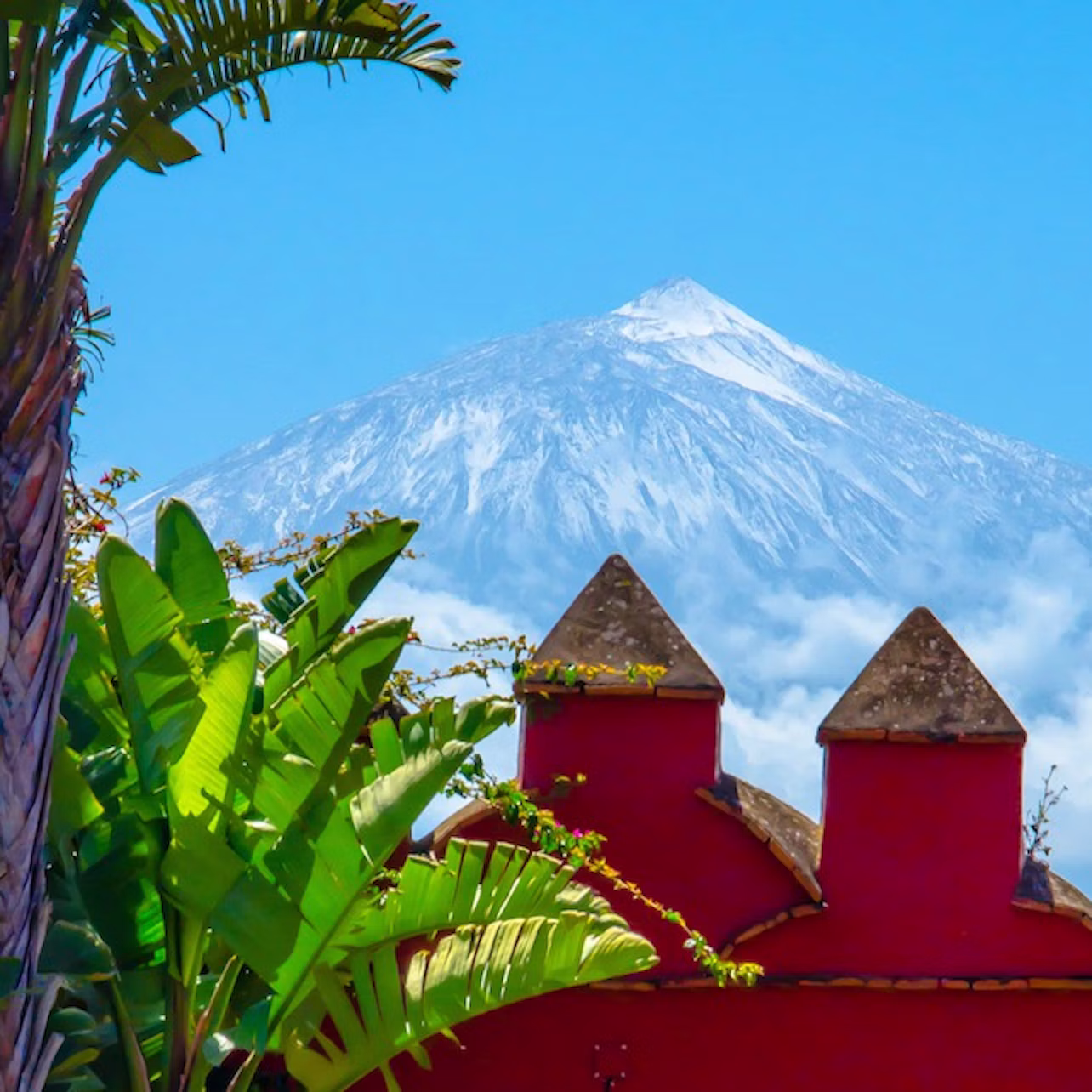 Snow-capped mountain behind a red building with pointed roofs, framed by green tropical foliage under a clear blue sky.