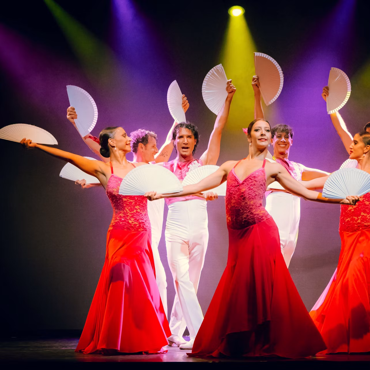 Spectacular flamenco dance