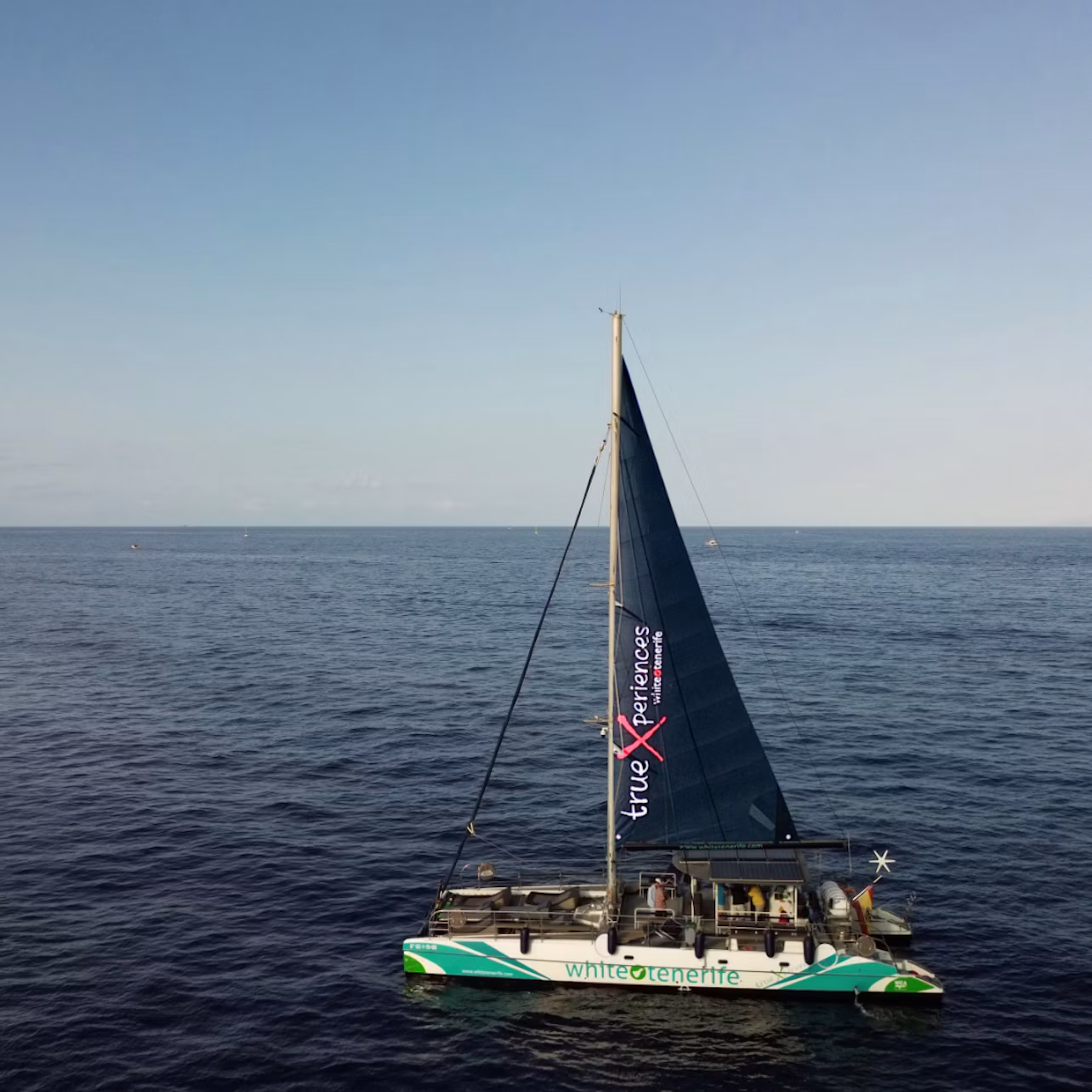 A catamaran with a dark sail and branding sails on calm, open water under a clear sky.
