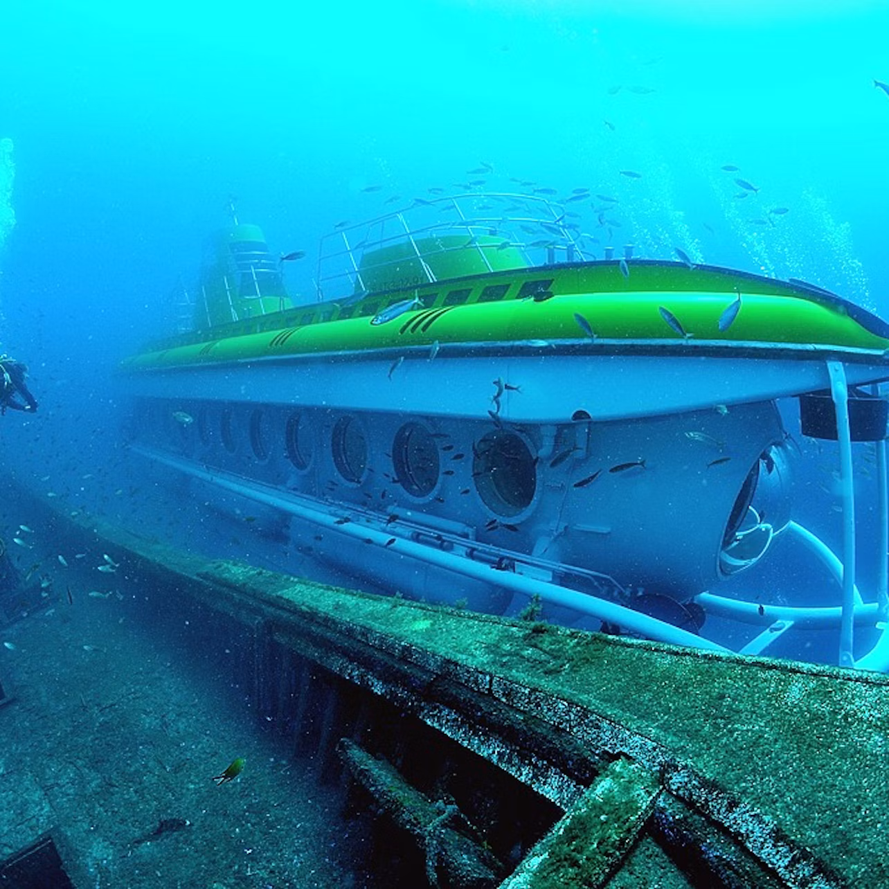 Submarine Safaris