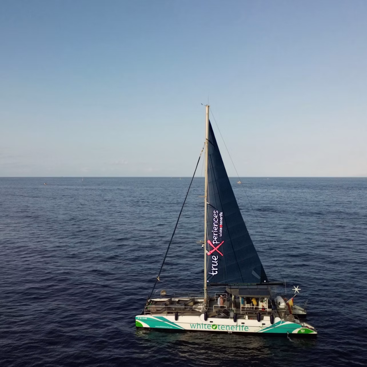 A catamaran with a dark sail and branding sails on calm, open water under a clear sky.