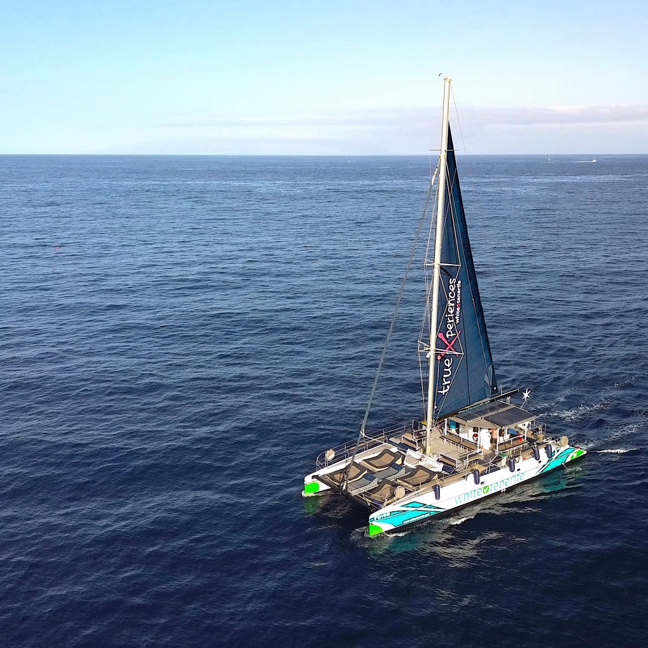 A large catamaran with sails navigates in a vast open sea under a clear sky.