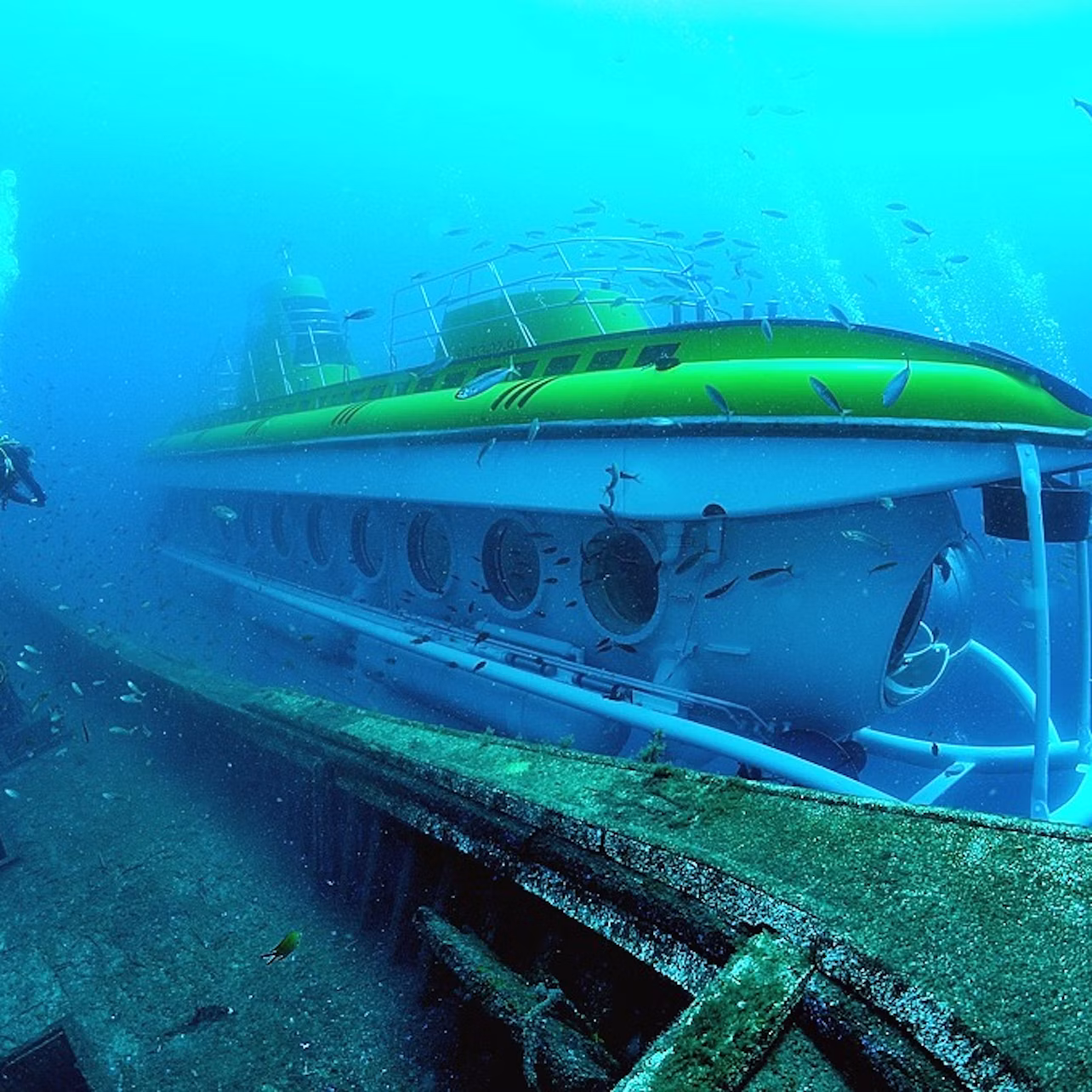 Submarine Safaris