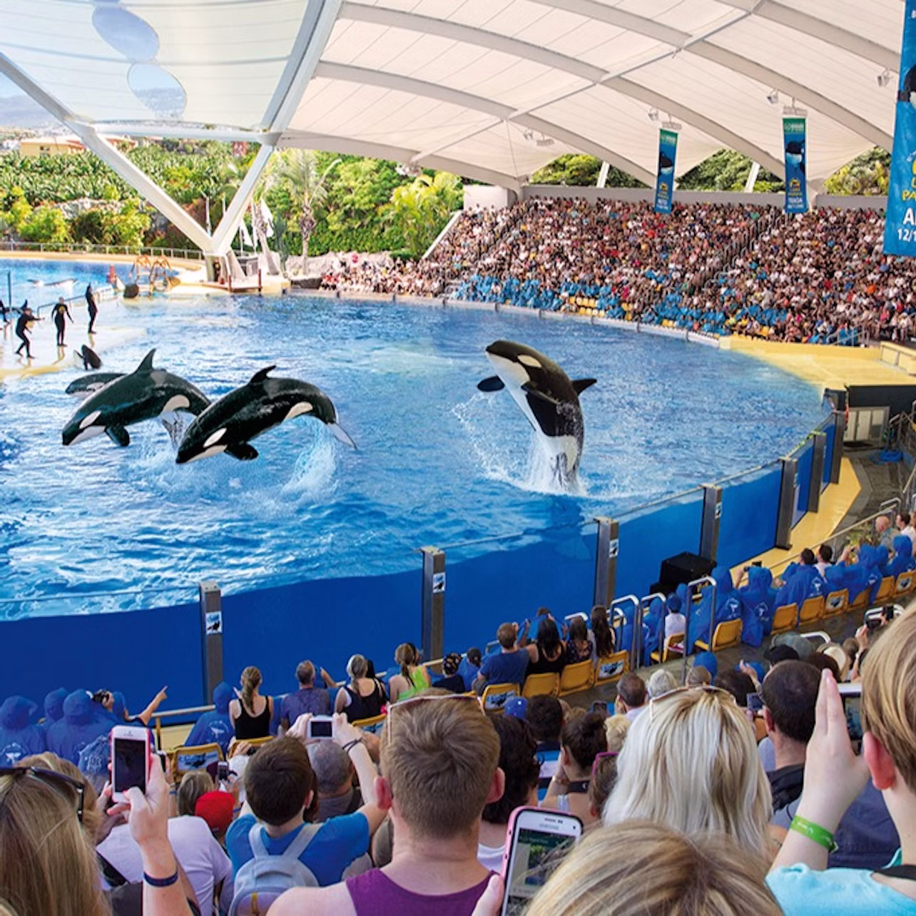 Loro Parque