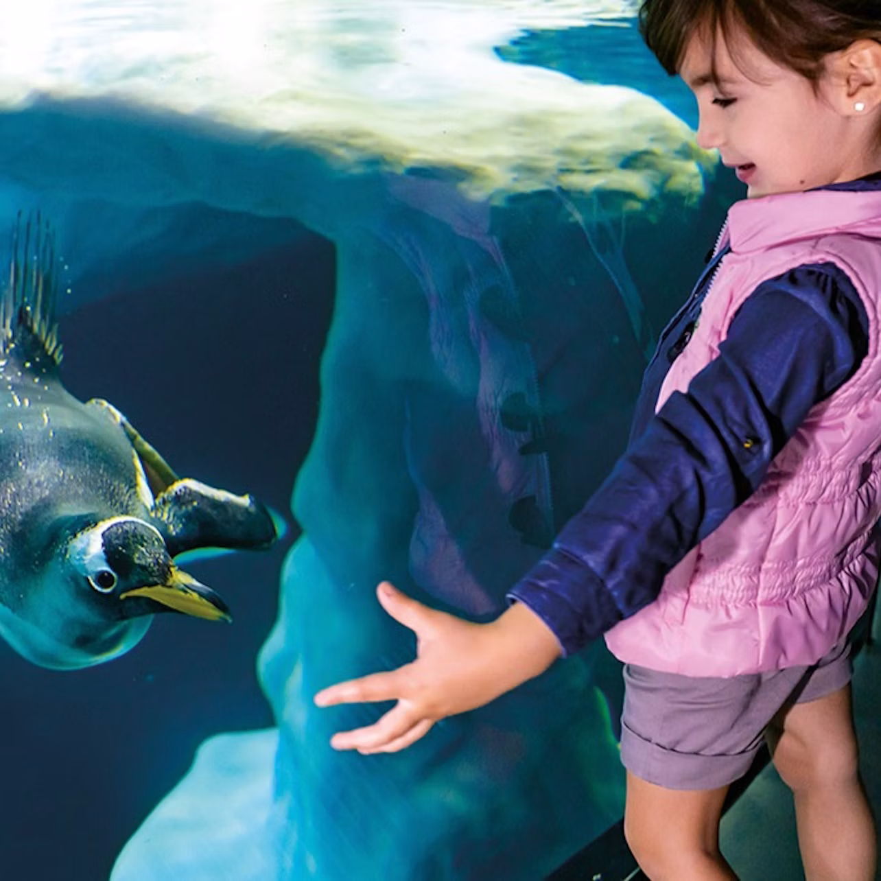 Loro Parque