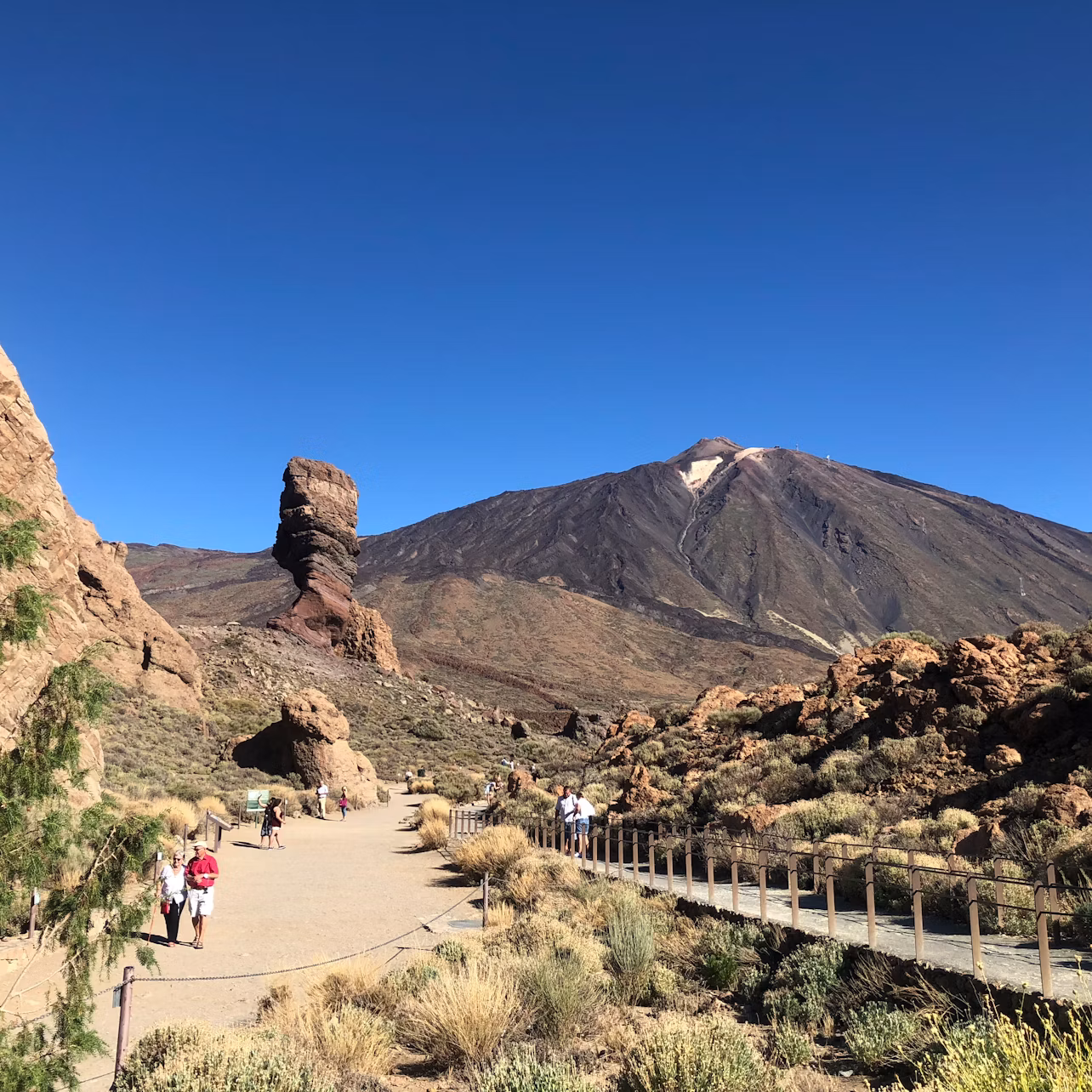 Nationalpark Teide, Icod de los Vinos, Garachico & Masca: Geführte Tour