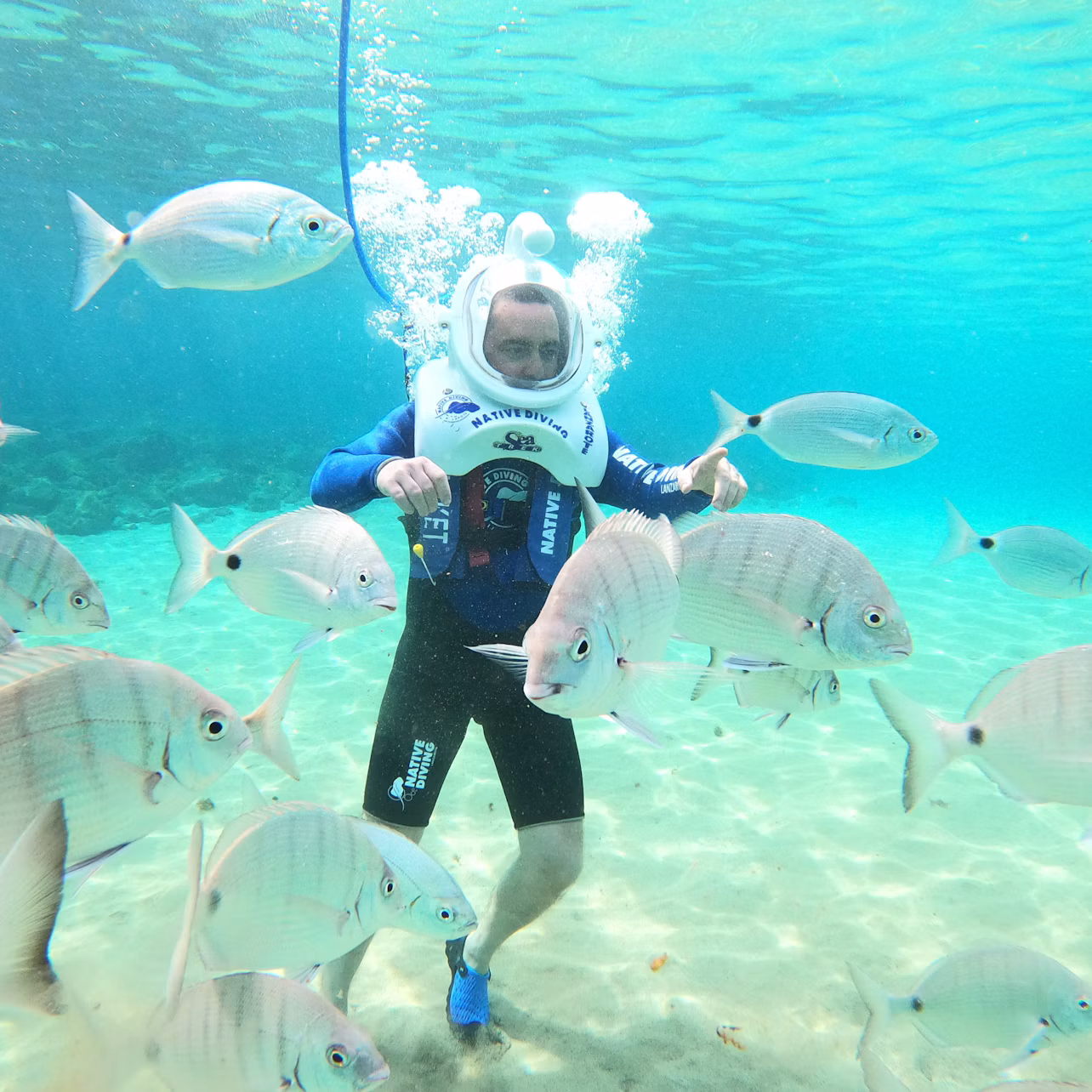 A person underwater wearing a helmet and surrounded by various fish. Bubbles rise from the helmet as they walk on the sandy seabed.