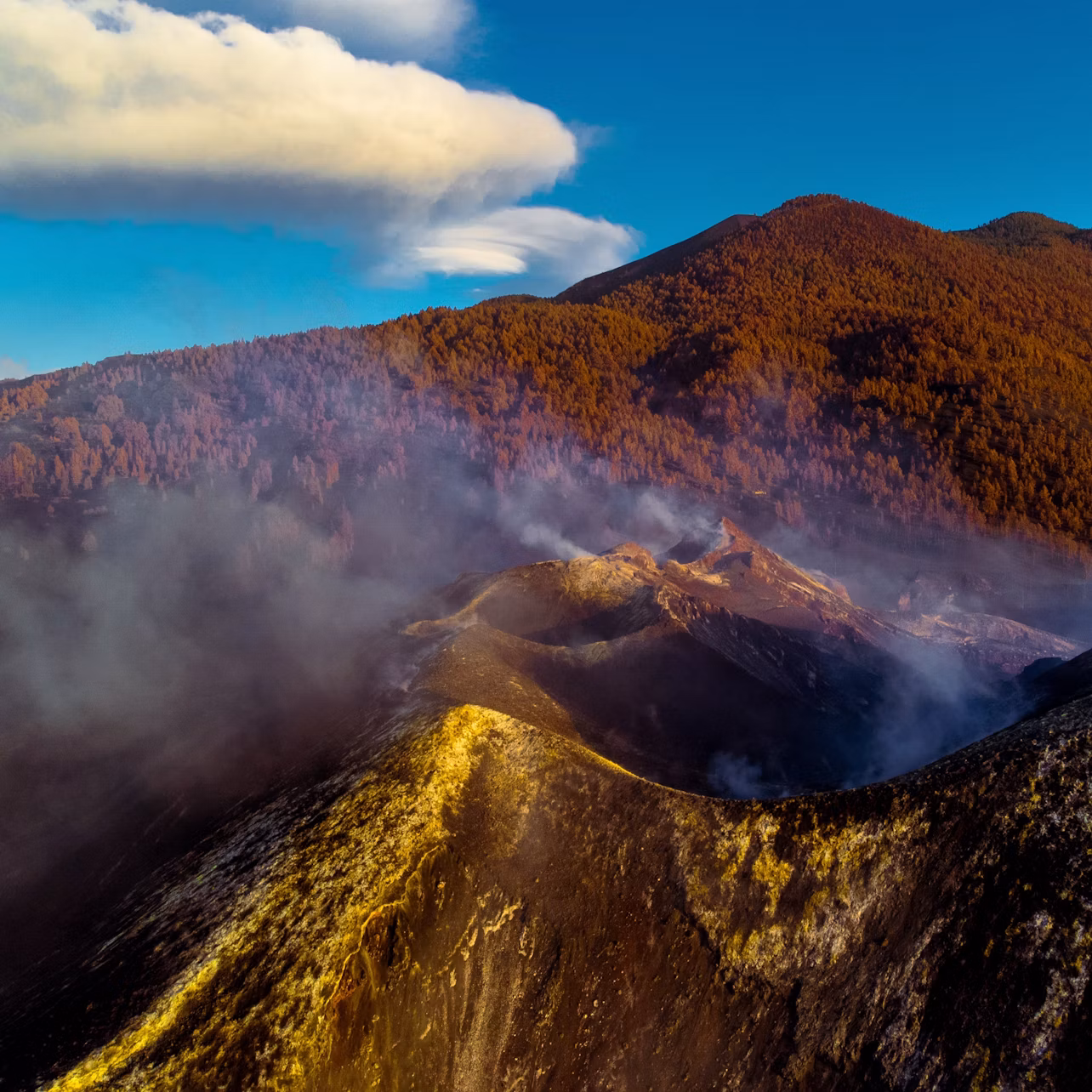 La Palma: Begeleide dagtour in kleine groep vanuit Tenerife incl. lunch en boottocht