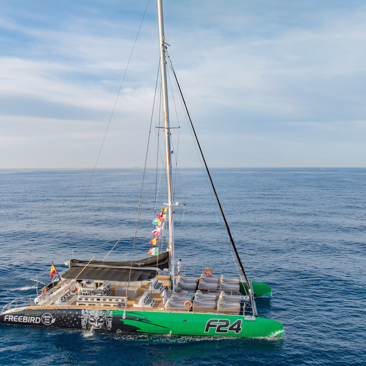NEW CATAMARAN