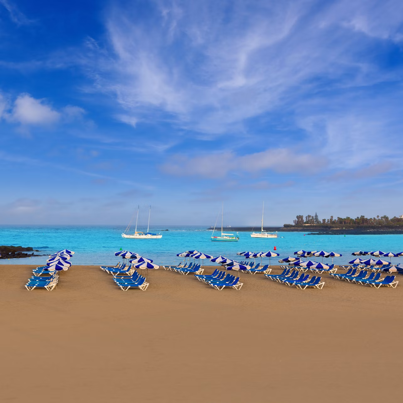 Rows of blue-and-white umbrellas and lounge chairs on an empty beach with sailboats on a calm sea under a clear blue sky.