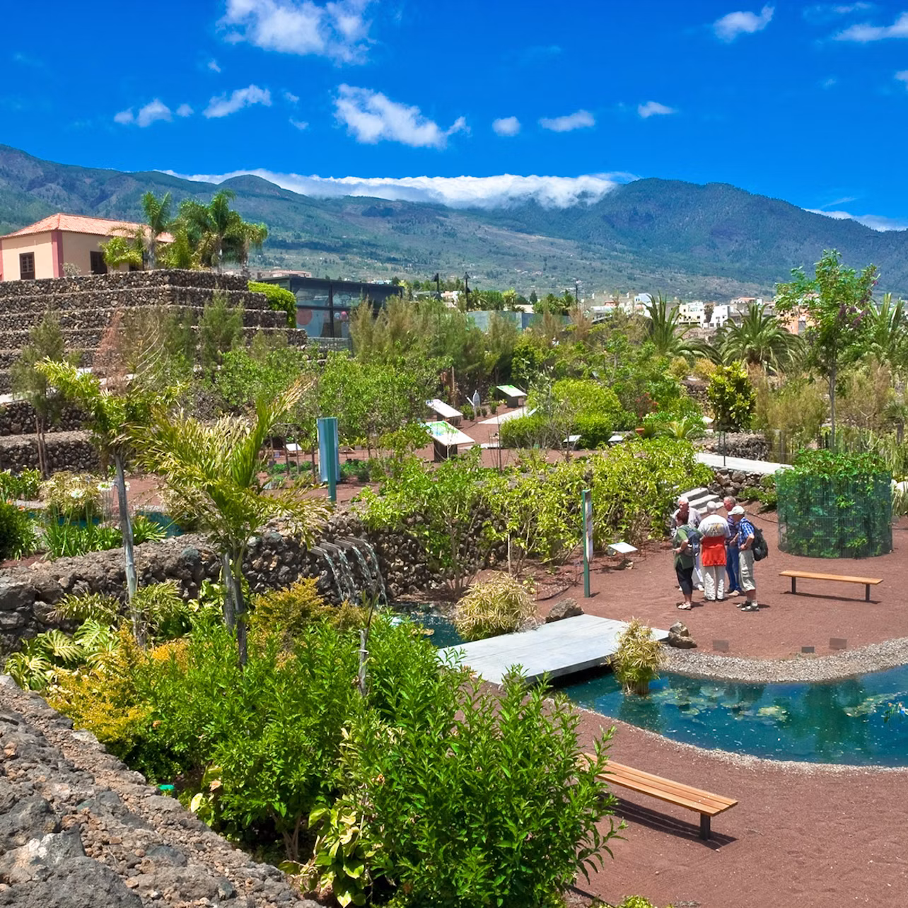 Garden view