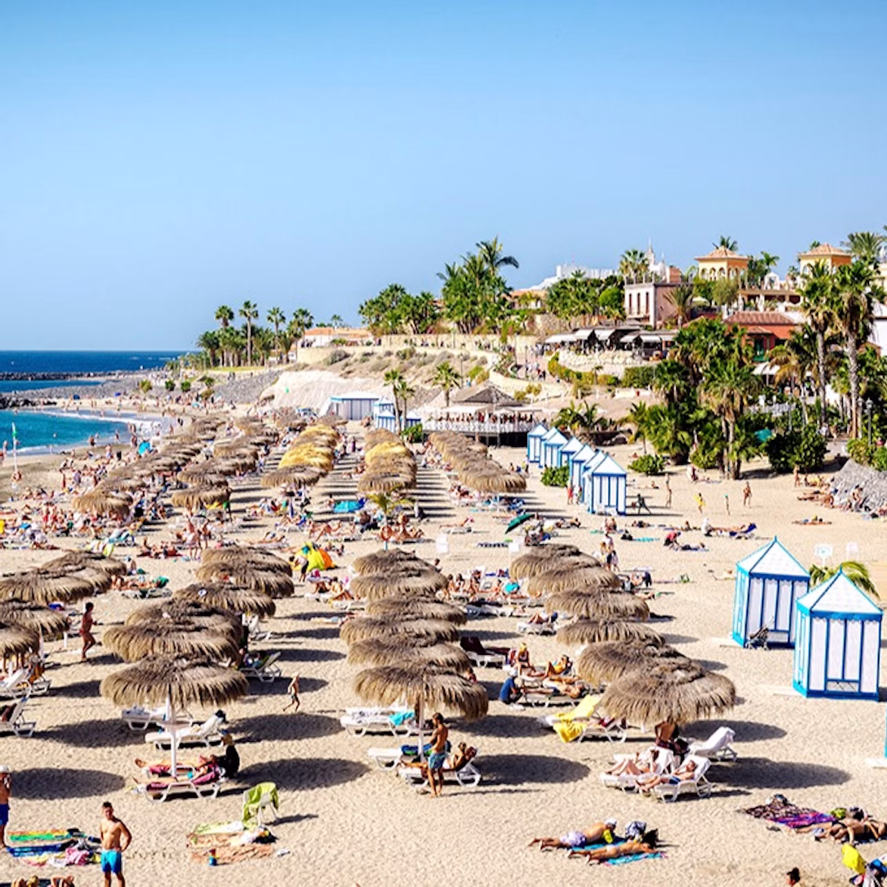 Crowded beach with straw sun umbrellas, sunbathers on lounge chairs, and cabanas; palm trees and buildings in the background.