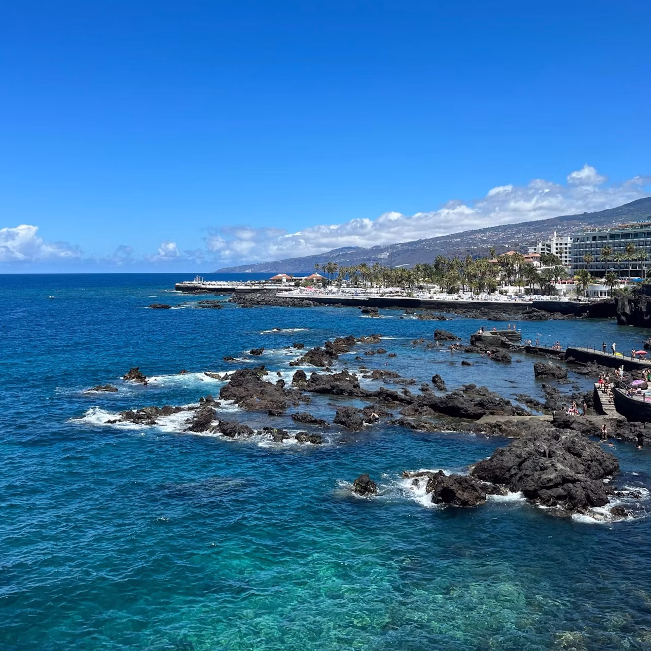 Rocky coastline with clear blue ocean water, palm trees, and buildings in the background under a bright blue sky with scattered clouds.