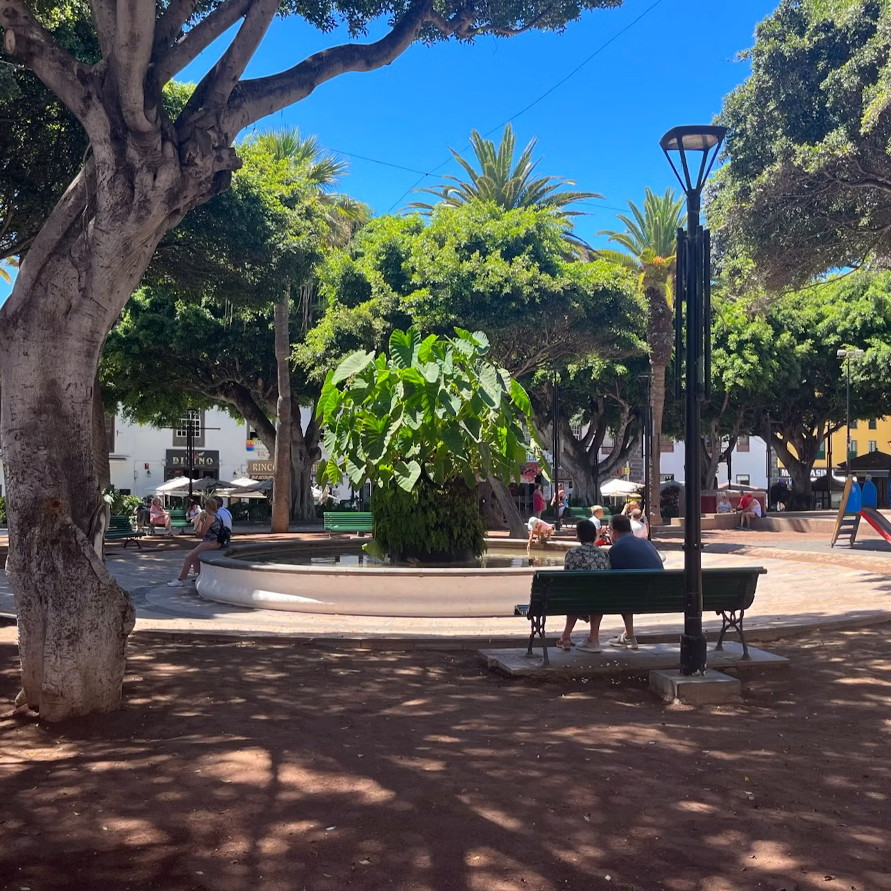 A park with large trees, a central fountain, benches with people sitting, and a lamppost. Bright, sunny day with clear blue sky.