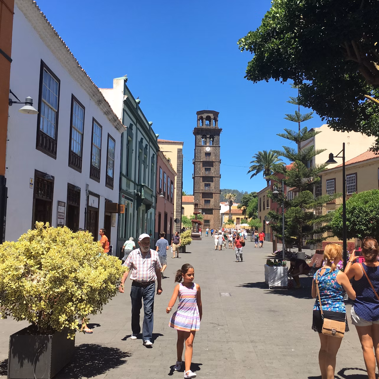 Walk through La Laguna