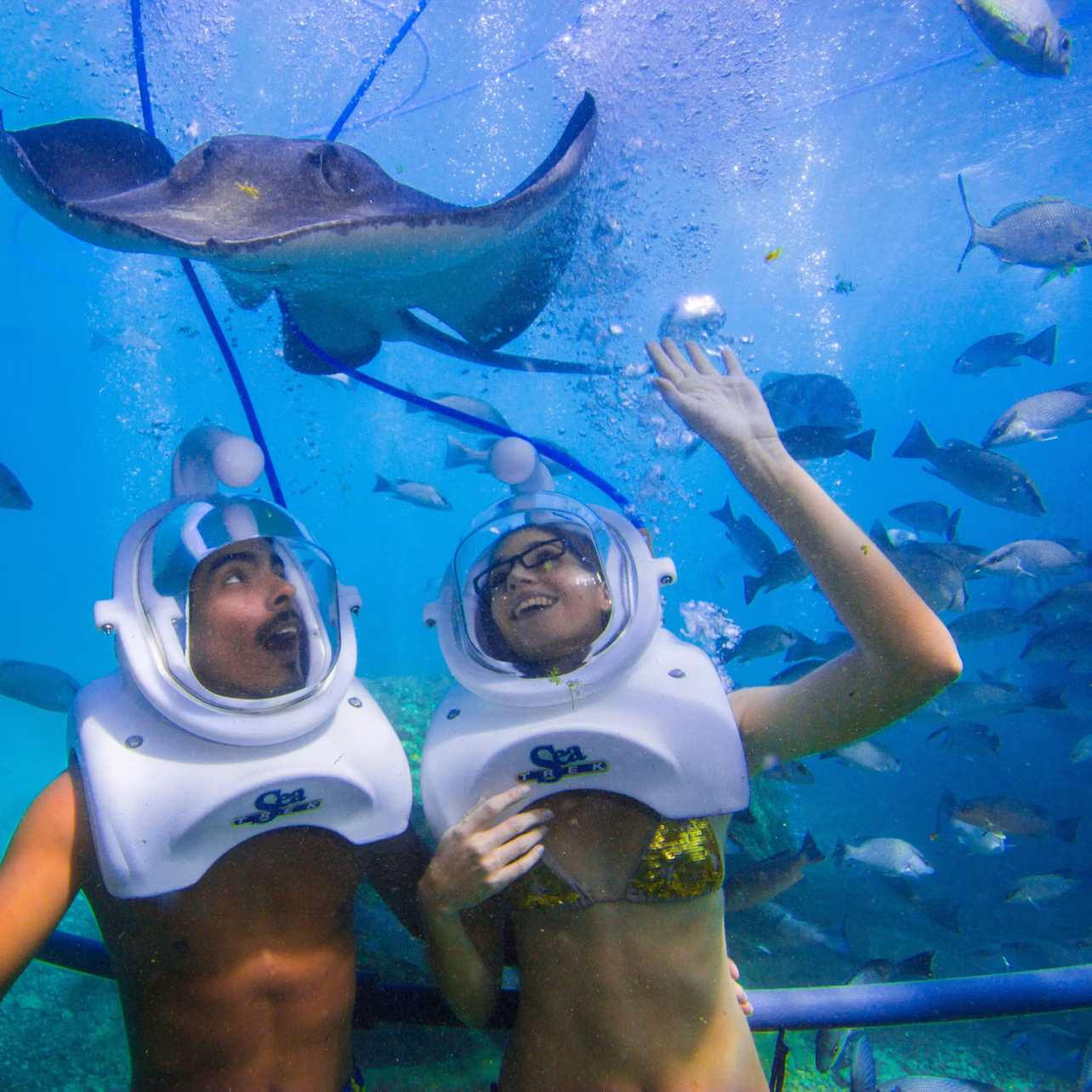 Two people in underwater helmets surrounded by fish and a large stingray in clear blue water.
