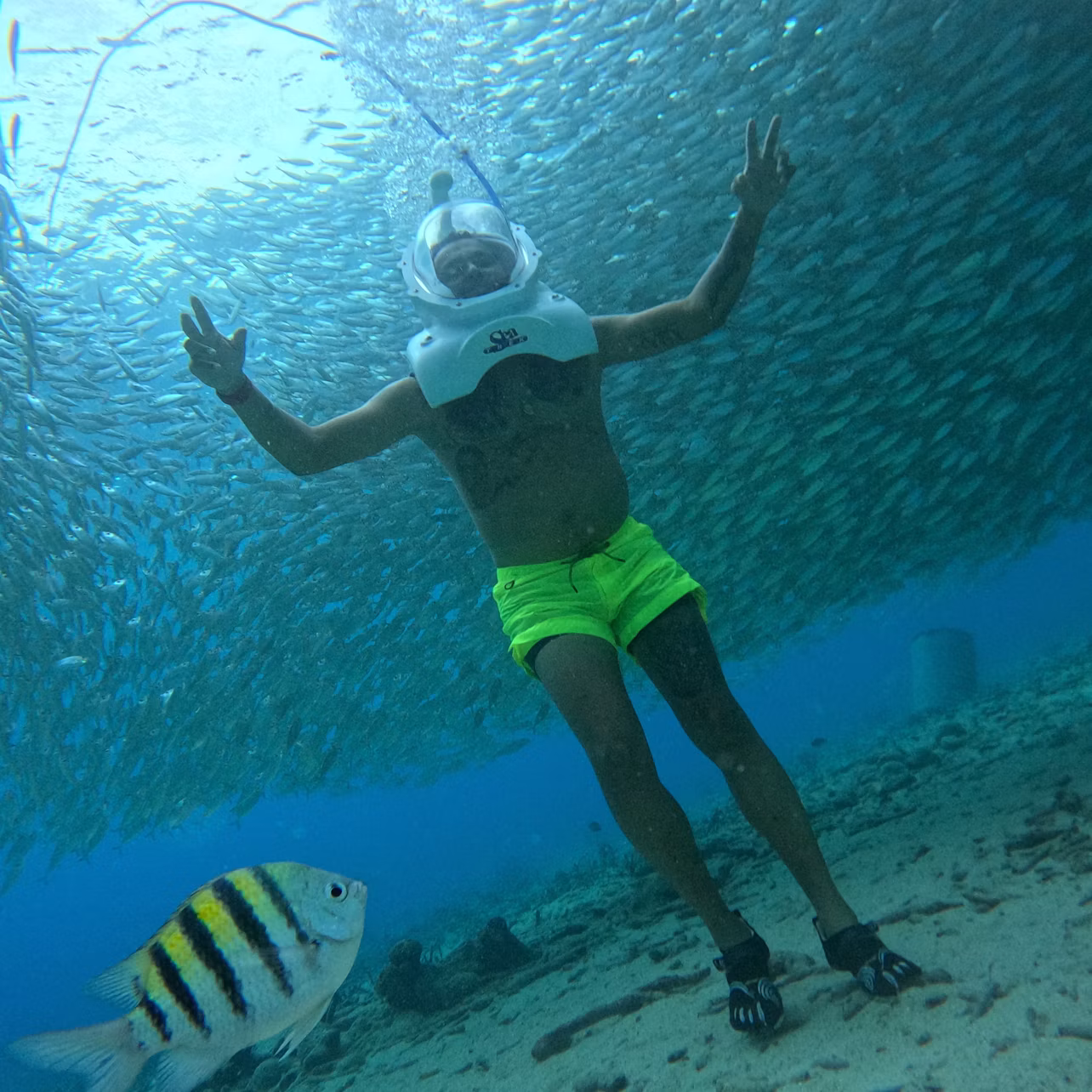 Person in a helmet and yellow shorts underwater, surrounded by a school of fish, with a sergeant major fish in the foreground.