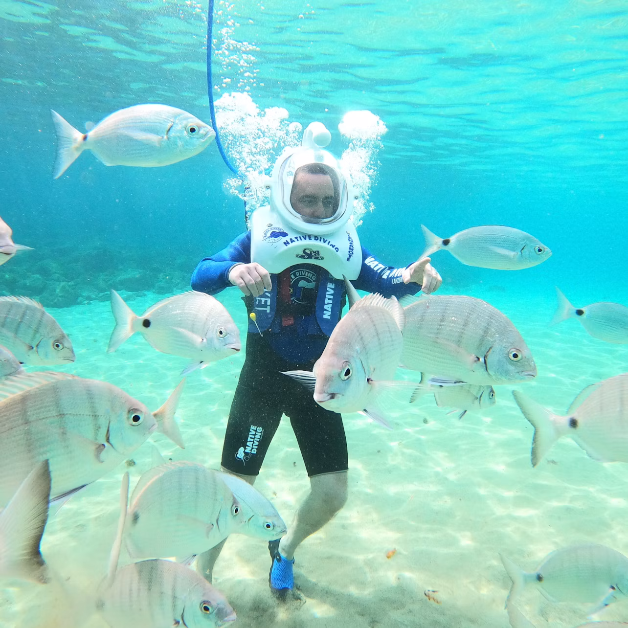 A person underwater wearing a helmet and surrounded by various fish. Bubbles rise from the helmet as they walk on the sandy seabed.