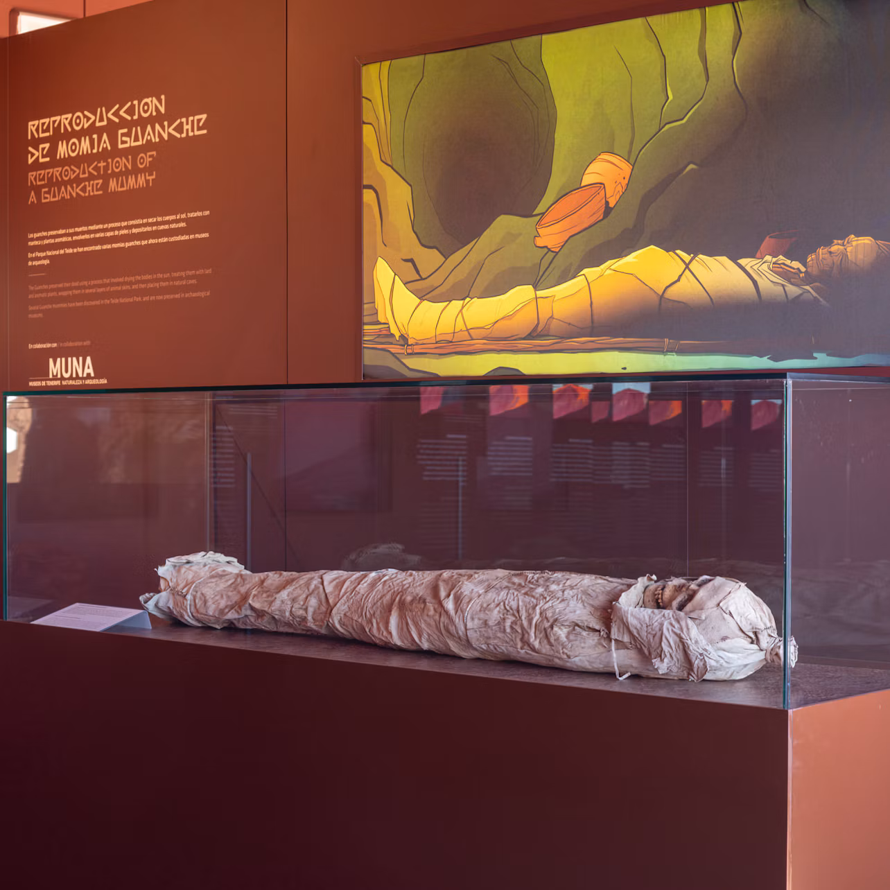 A mummified body in a glass display case, with informational text and artwork of a mummy on the wall behind it.