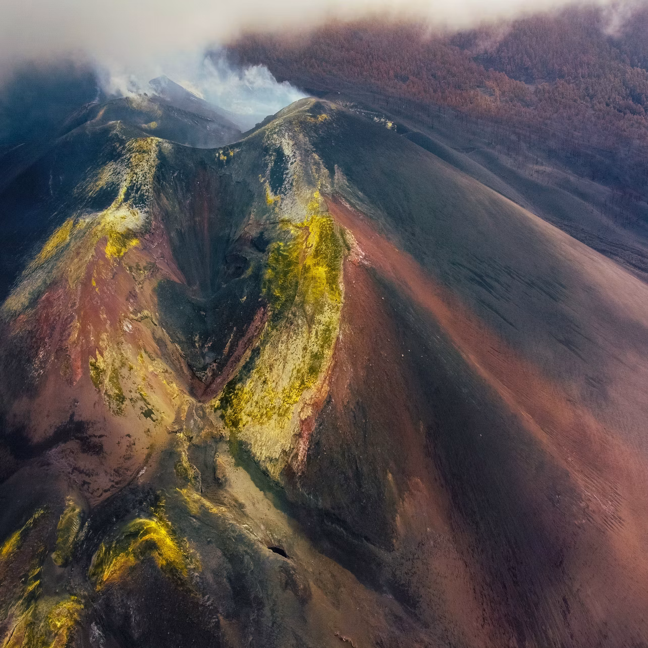 La Palma