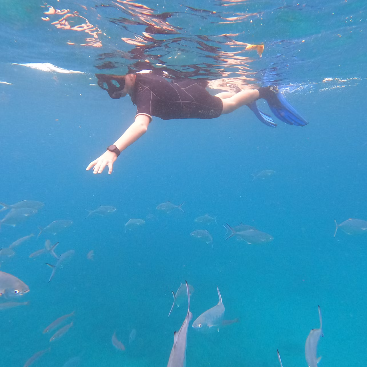 Snorkeling by boat
