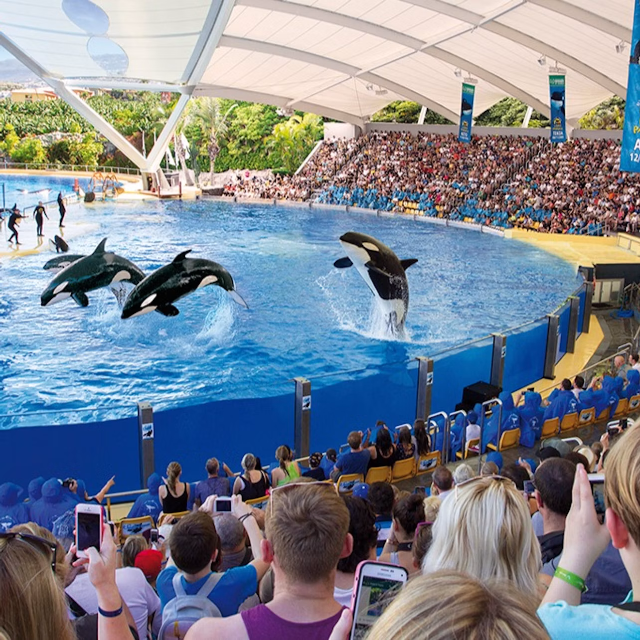 Loro Parque