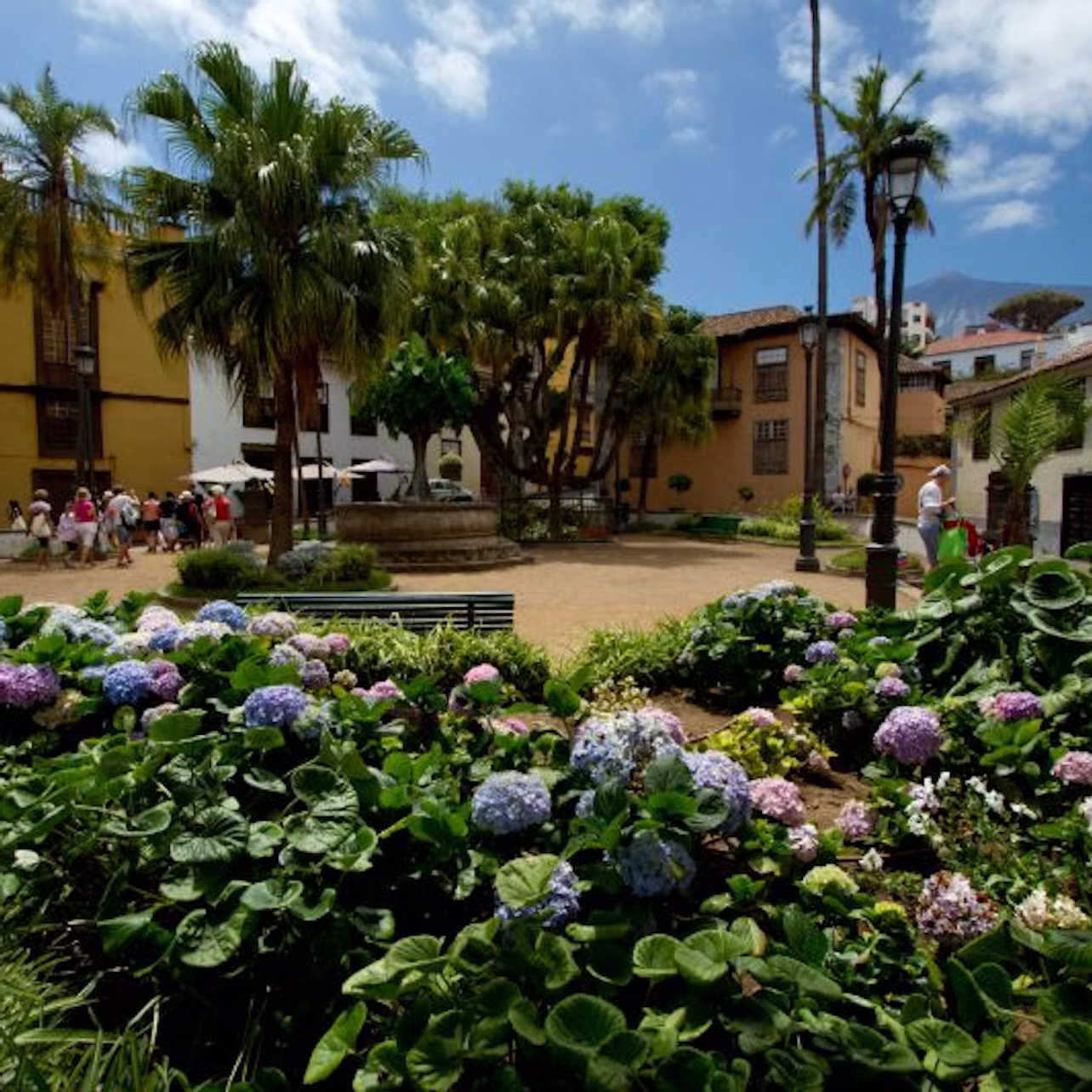 A quaint courtyard with lush flowers, palm trees, historic buildings, and a group of people walking on a sunny day.