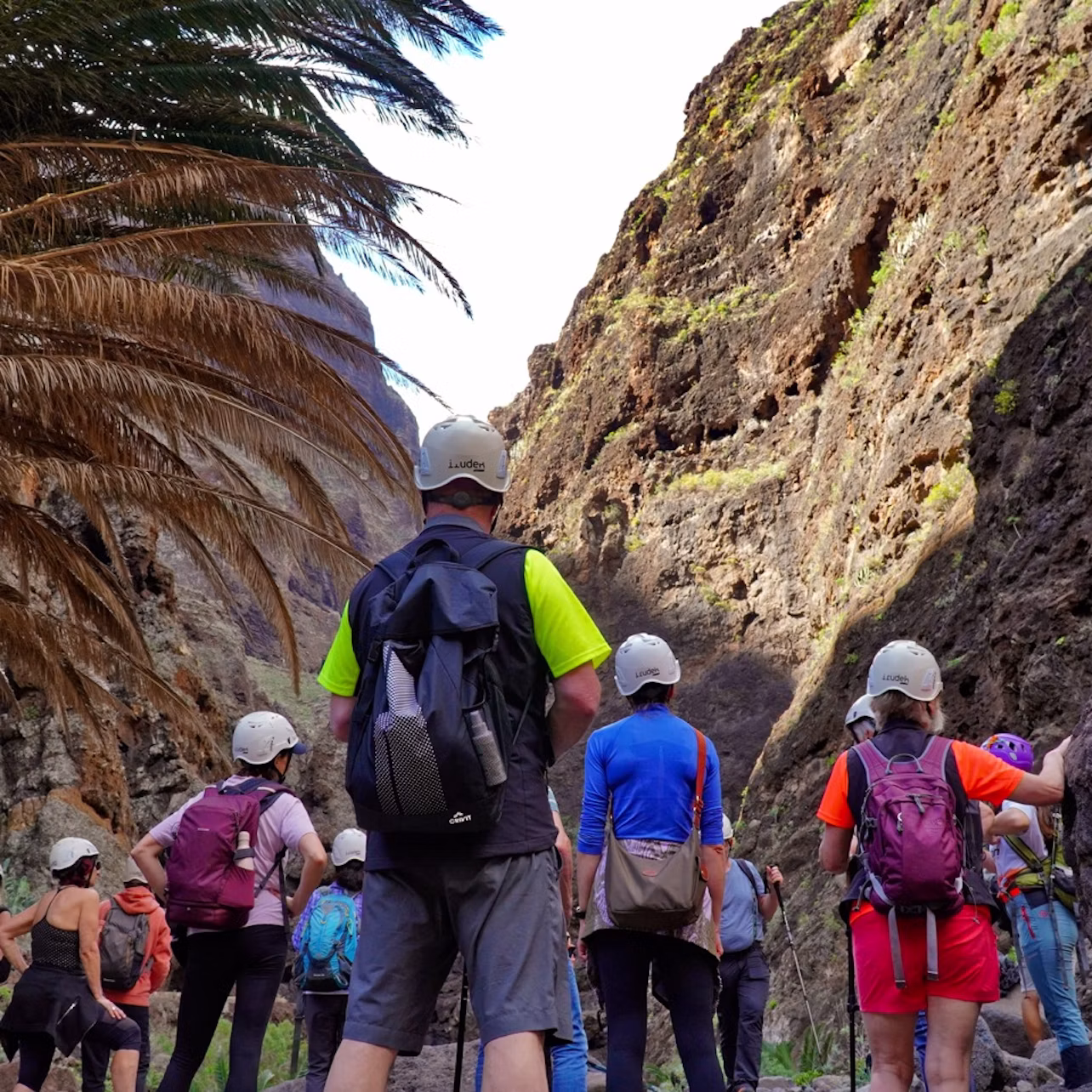 Group of hikers admiring the Masca gorge