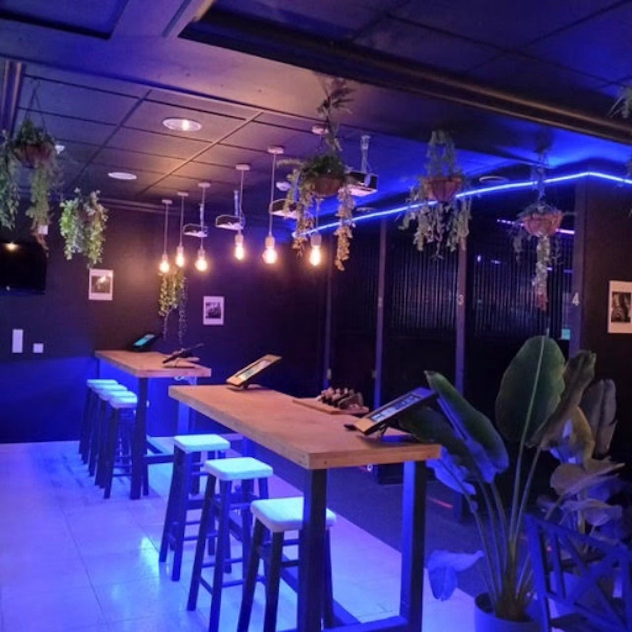 Modern lounge with high tables, stools, hanging plants, and ambient blue lighting. Ceiling bulbs provide a warm glow.