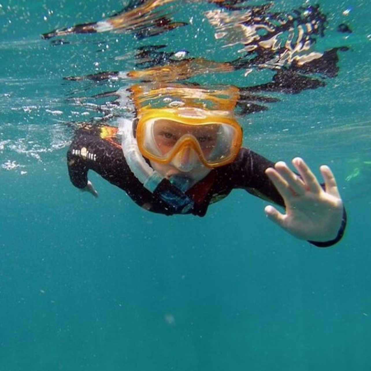 Snorkel