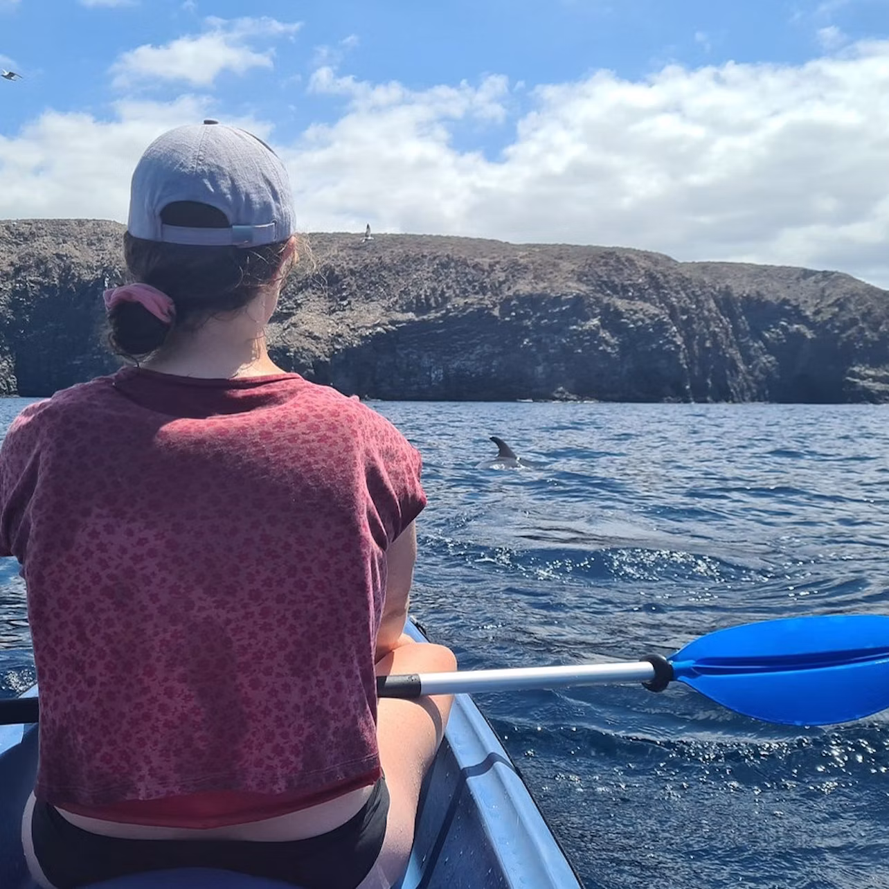 kayak