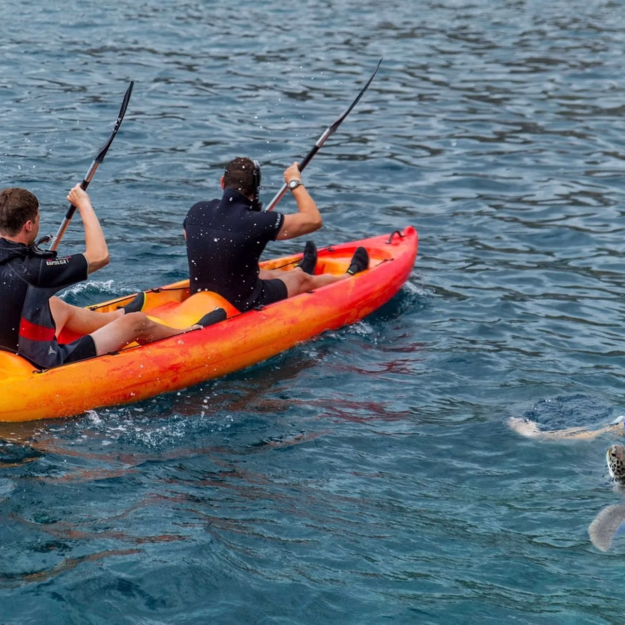 KAYAK