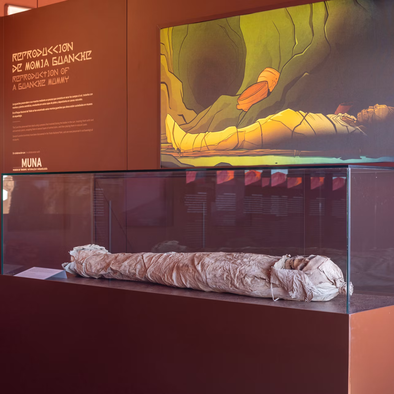 A mummified body in a glass display case, with informational text and artwork of a mummy on the wall behind it.