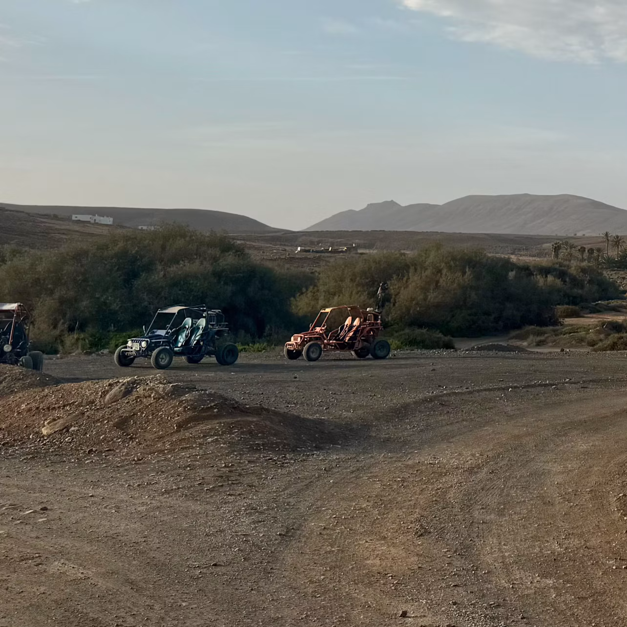 Buggy tour