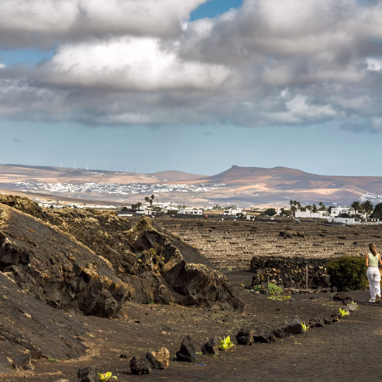 Lanzarote : Visites El Grifo pour les amateurs de vin
