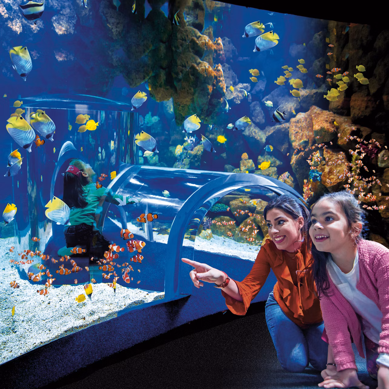 A woman and a girl are observing fish through a transparent tunnel in an aquarium. Coral and various fish are visible in the background.